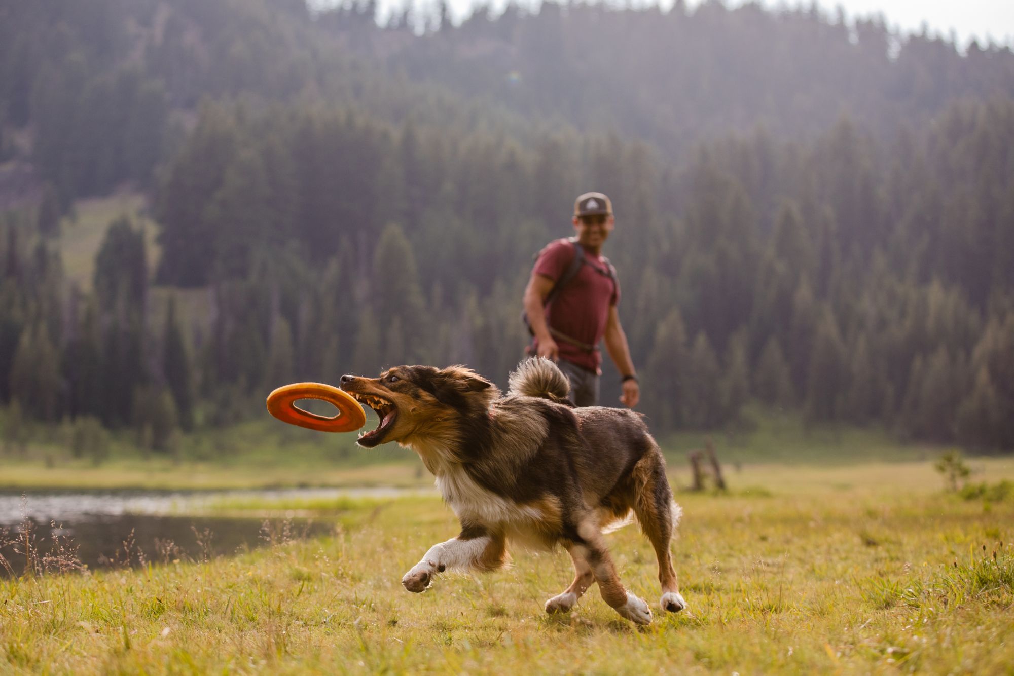 Ruffwear Hydro Plane Frisbee Dog Toy product image
