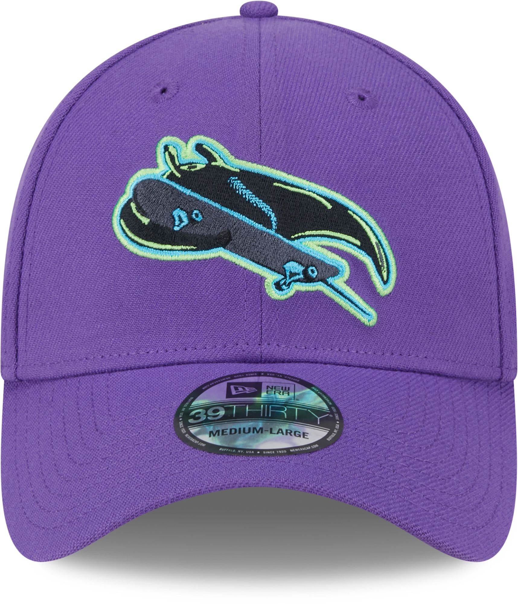 New Era Adult Tampa Bay Rays Alternate City Connect 39Thirty Flex Fit Hat product image