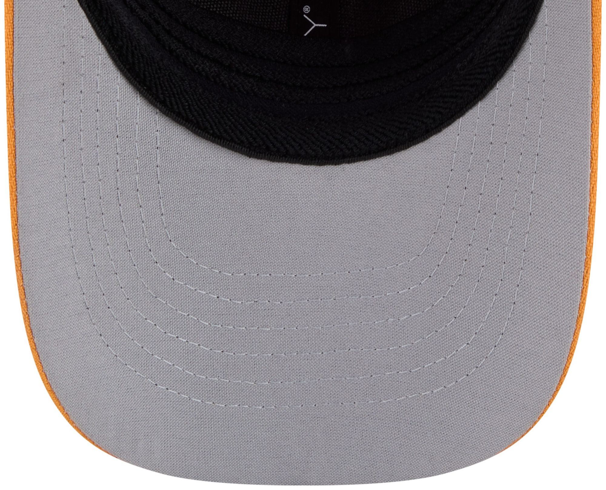 New Era Adult Altoona Curve Pink Copa 39Thirty Adjustable Hat product image