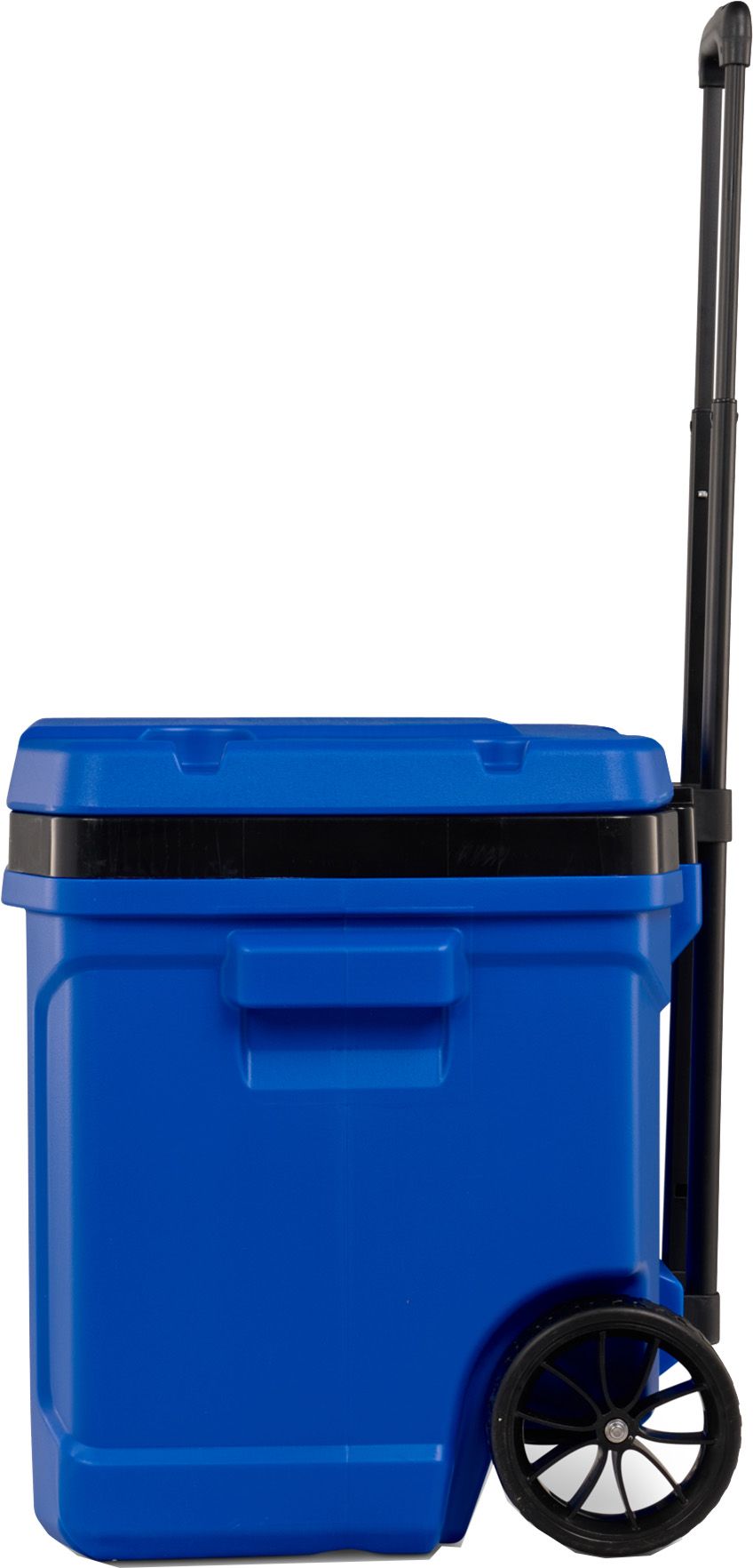 Igloo 60 Quart Latitude Roller Cooler product image