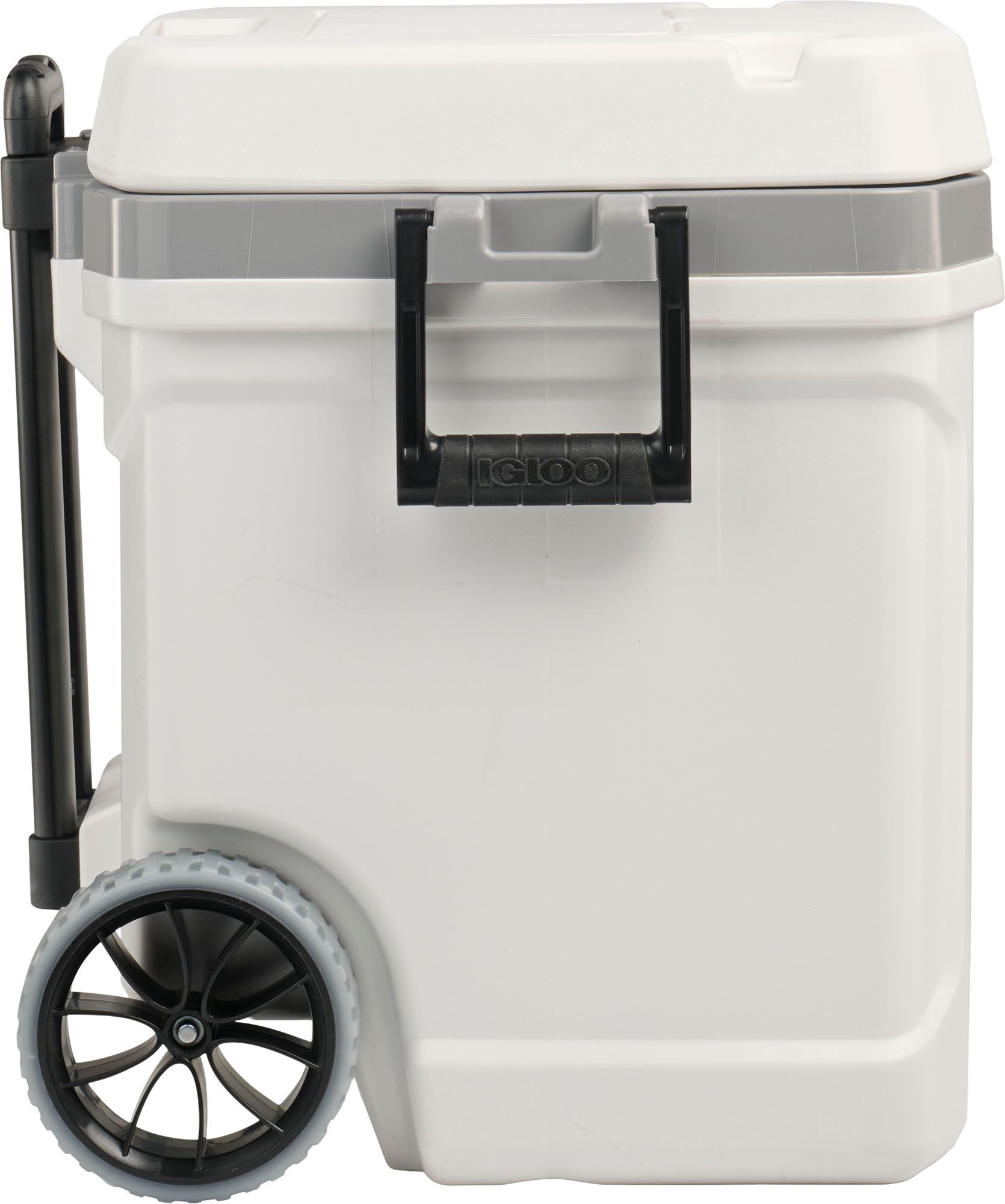 Igloo 60 Quart Latitude Roller Cooler product image