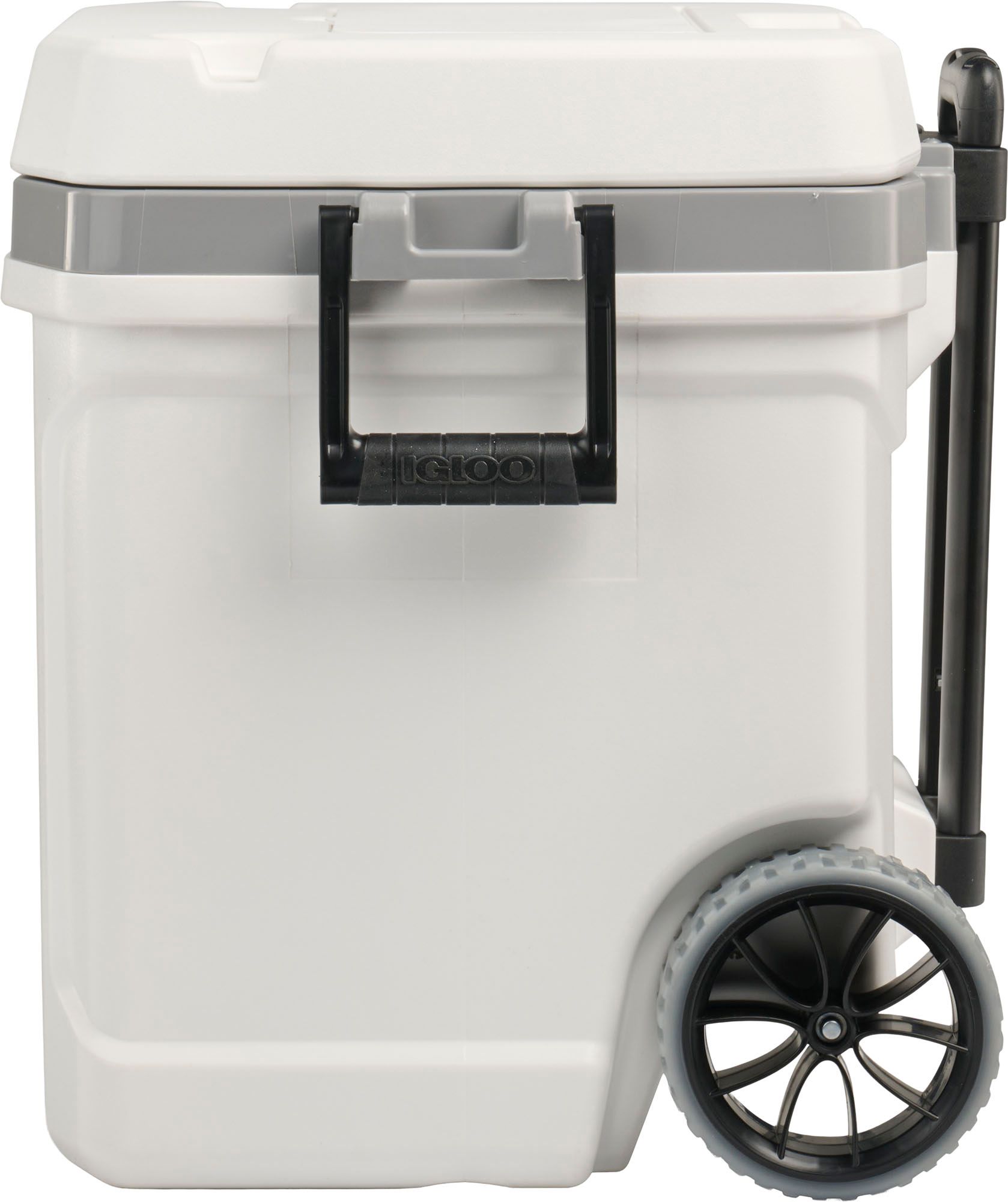 Igloo 60 Quart Latitude Roller Cooler product image
