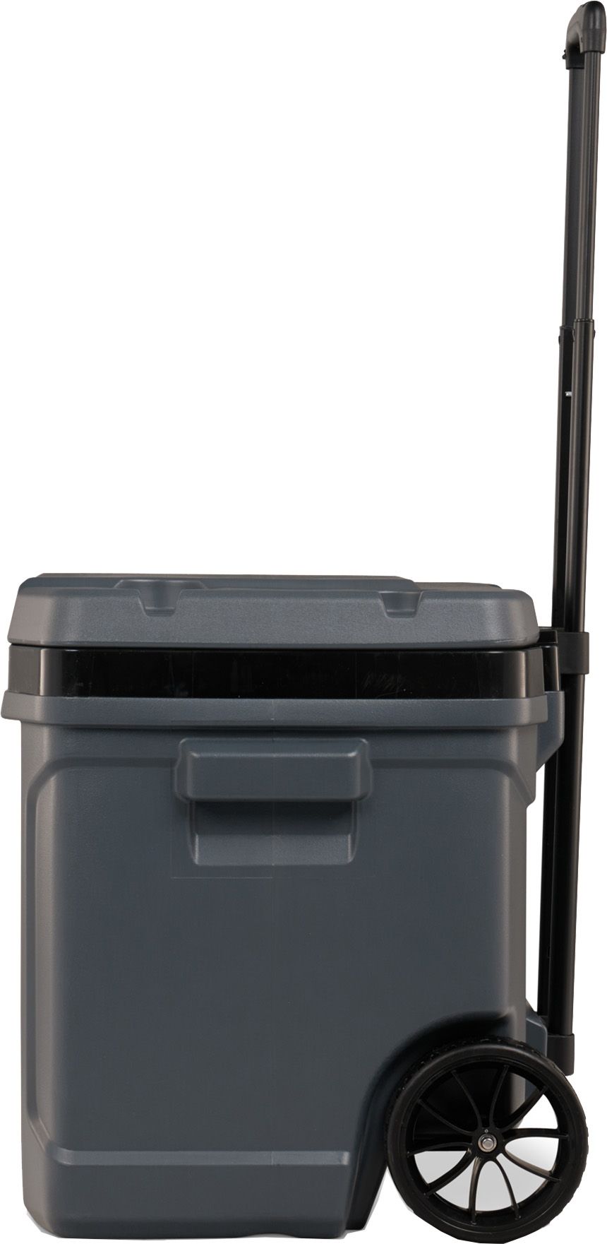 Igloo 60 Quart Latitude Roller Cooler product image