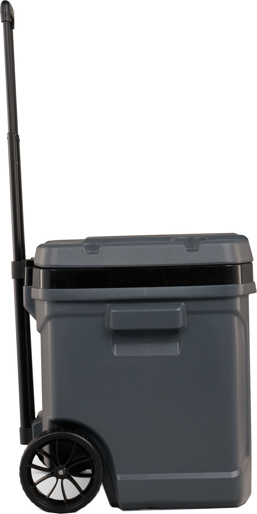 Igloo 60 Quart Latitude Roller Cooler product image