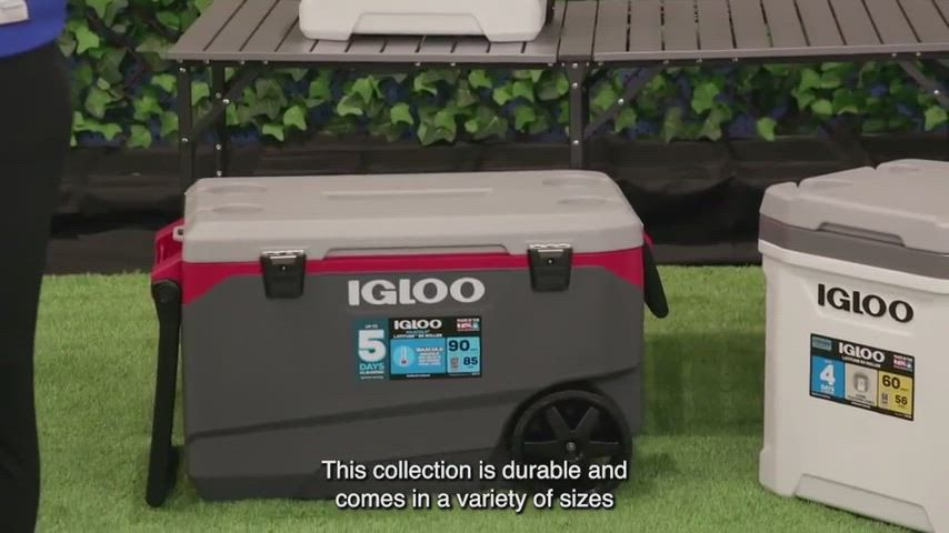 Igloo 60 Quart Latitude Roller Cooler product