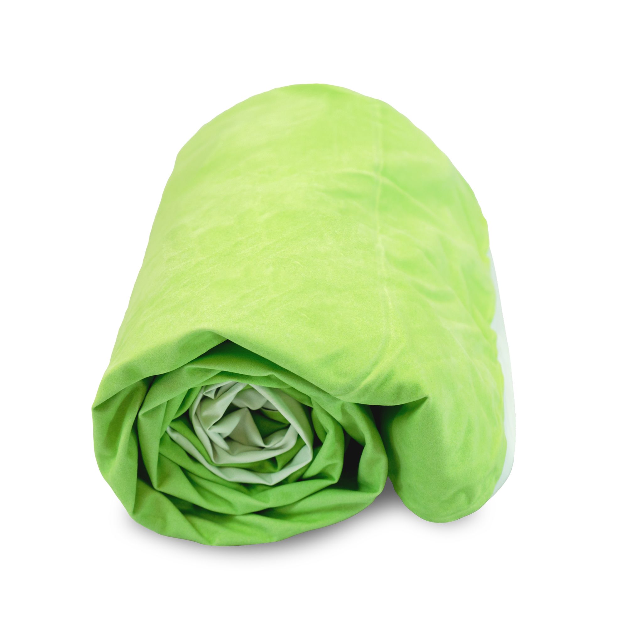 Air Comfort Dream Easy Twin Raised Air Mattress with Built-In Pump product image