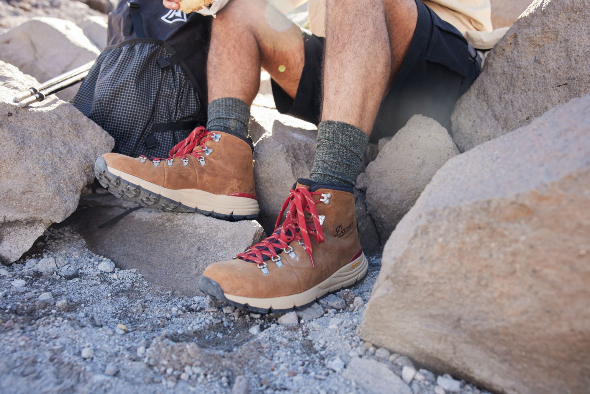 Danner Men's Mountain 600 GORE-TEX Hiking Boots product image