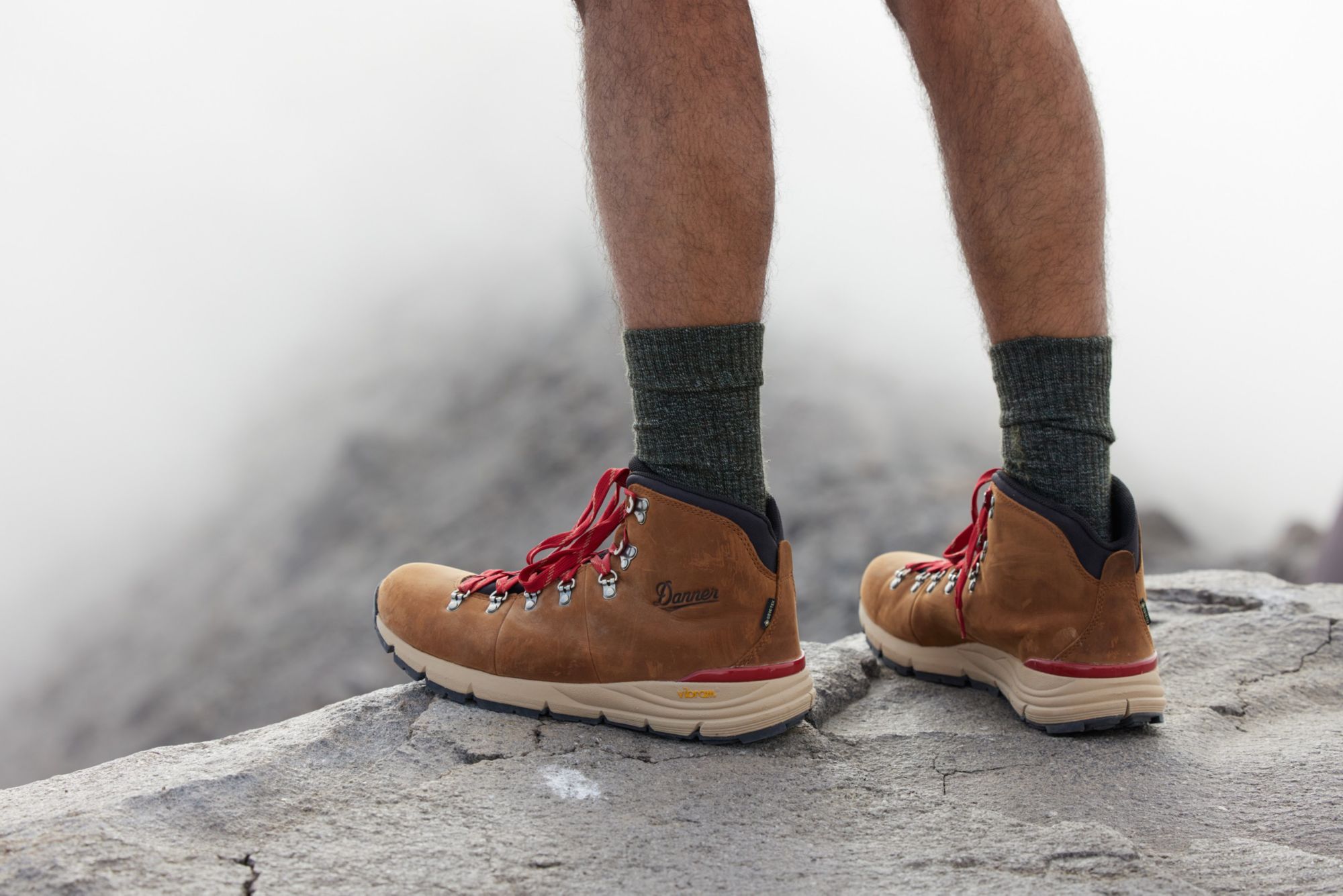 Danner Men's Mountain 600 GORE-TEX Hiking Boots product image