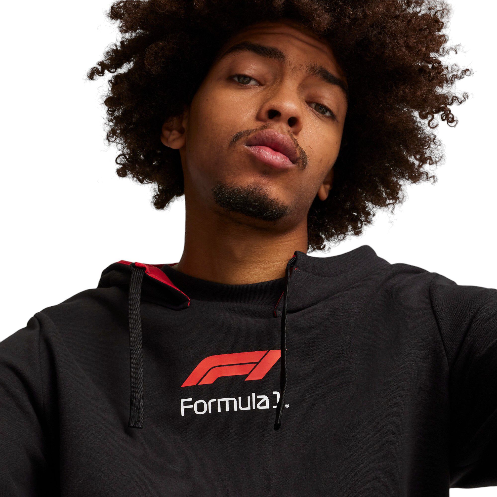 Puma Men's F1 Racing Black Pullover Hoodie product image