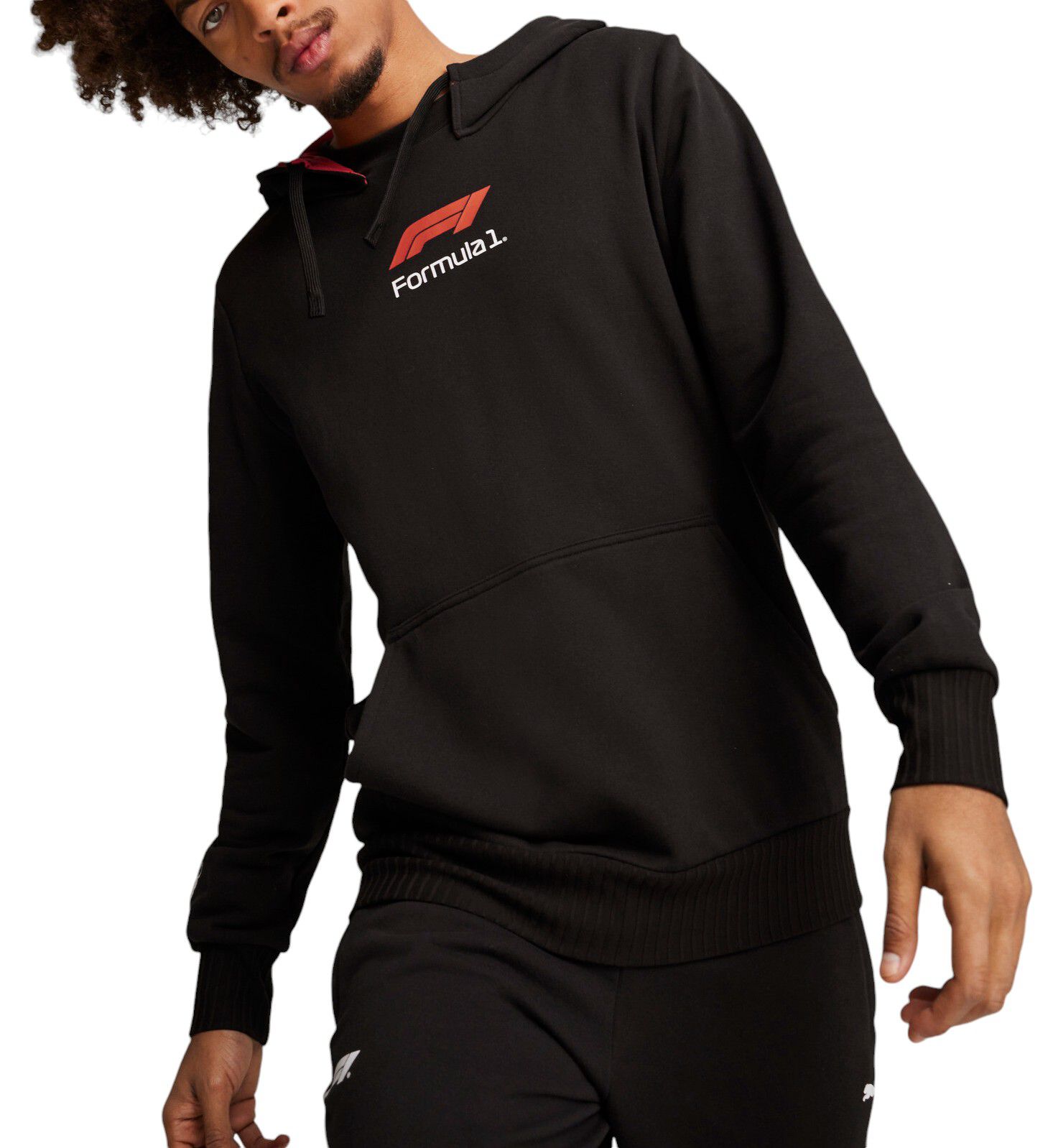 Puma Men's F1 Racing Black Pullover Hoodie product image