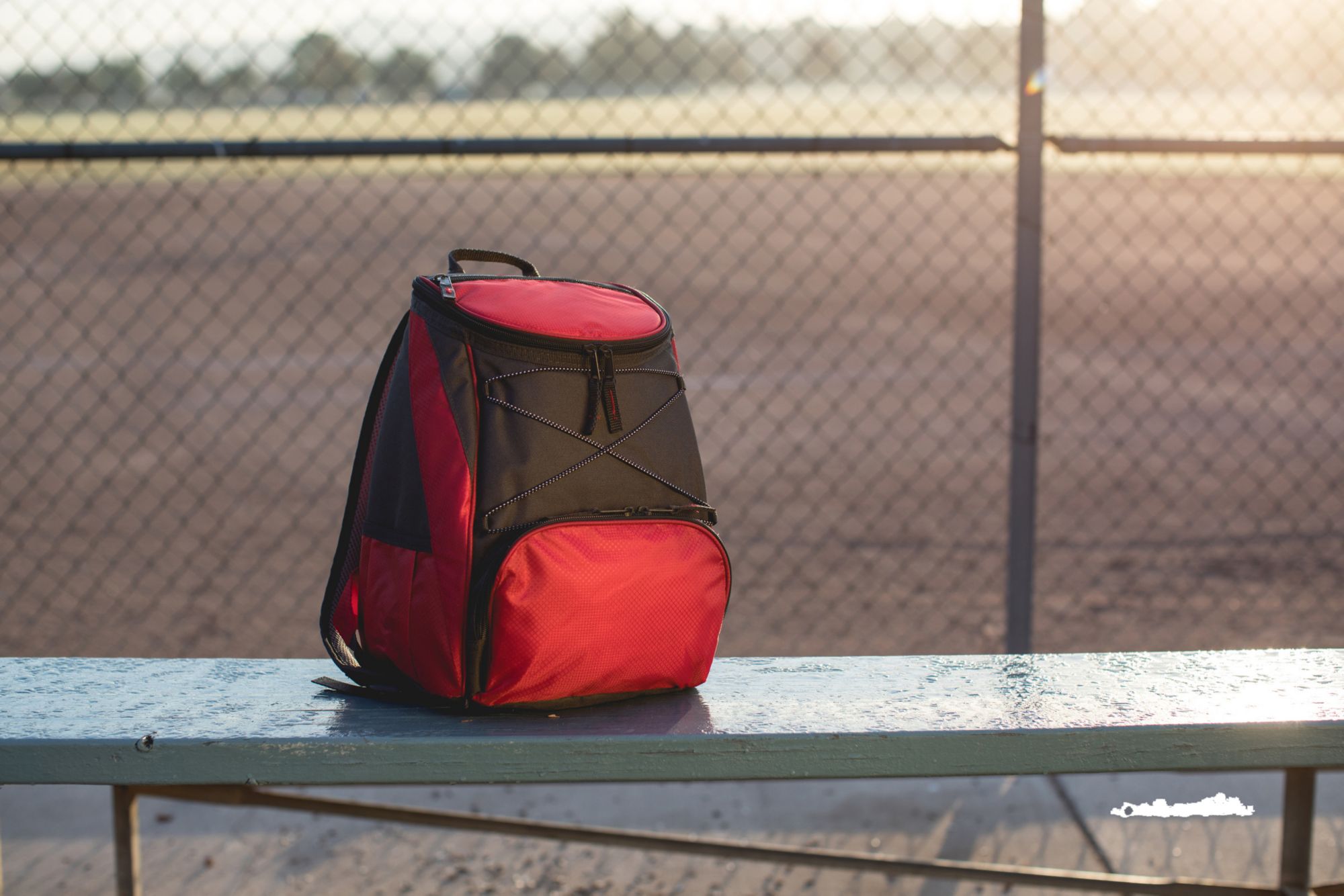 Picnic Time Cincinnati Reds PTX Backpack Cooler