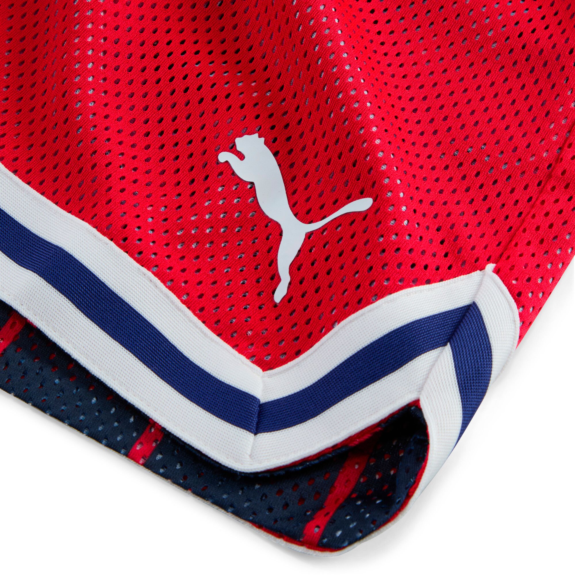 PUMA Adult Red Bull Salzburg Navy KidSuper Hoops Shorts product image