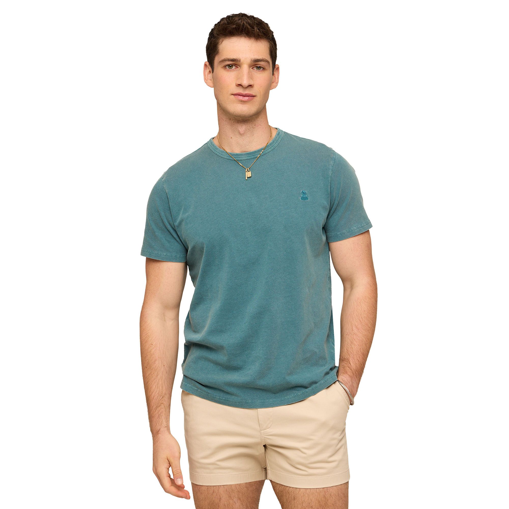 Chubbies Men's 24/7 365 T-Shirt product image