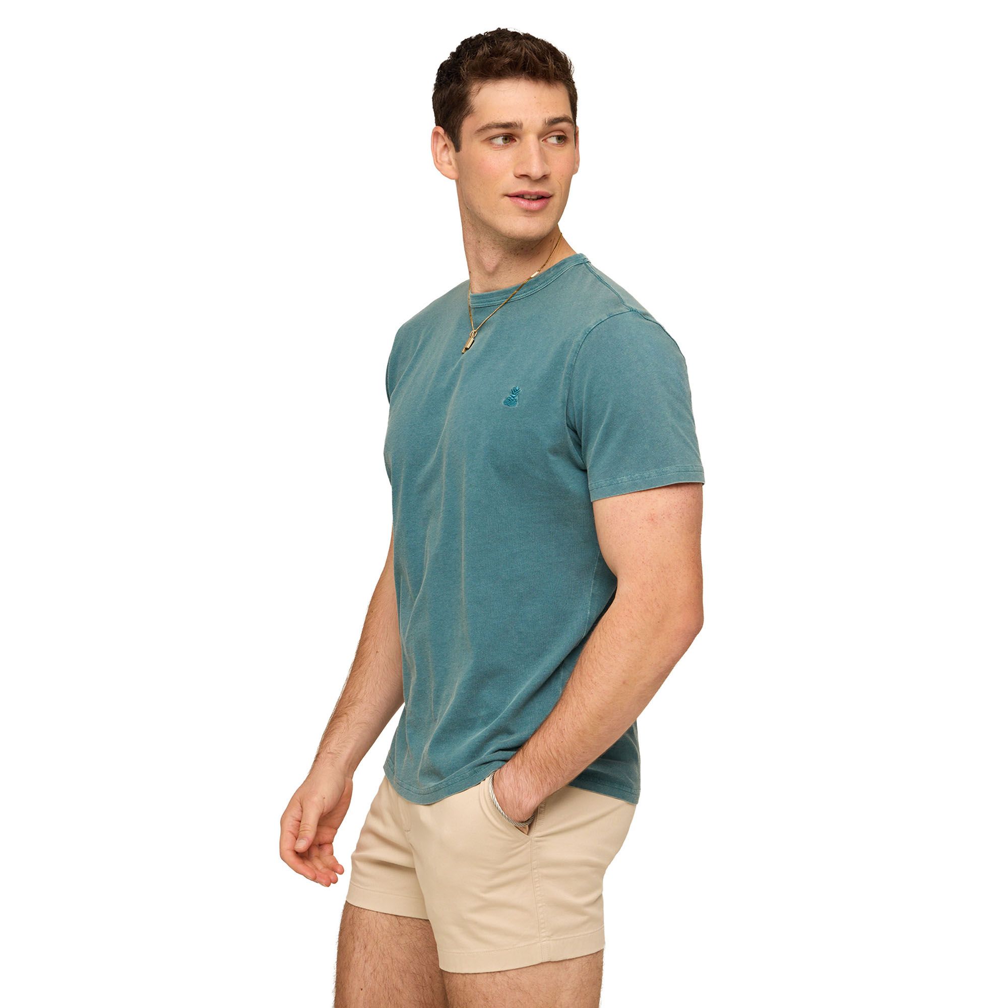 Chubbies Men's 24/7 365 T-Shirt product image