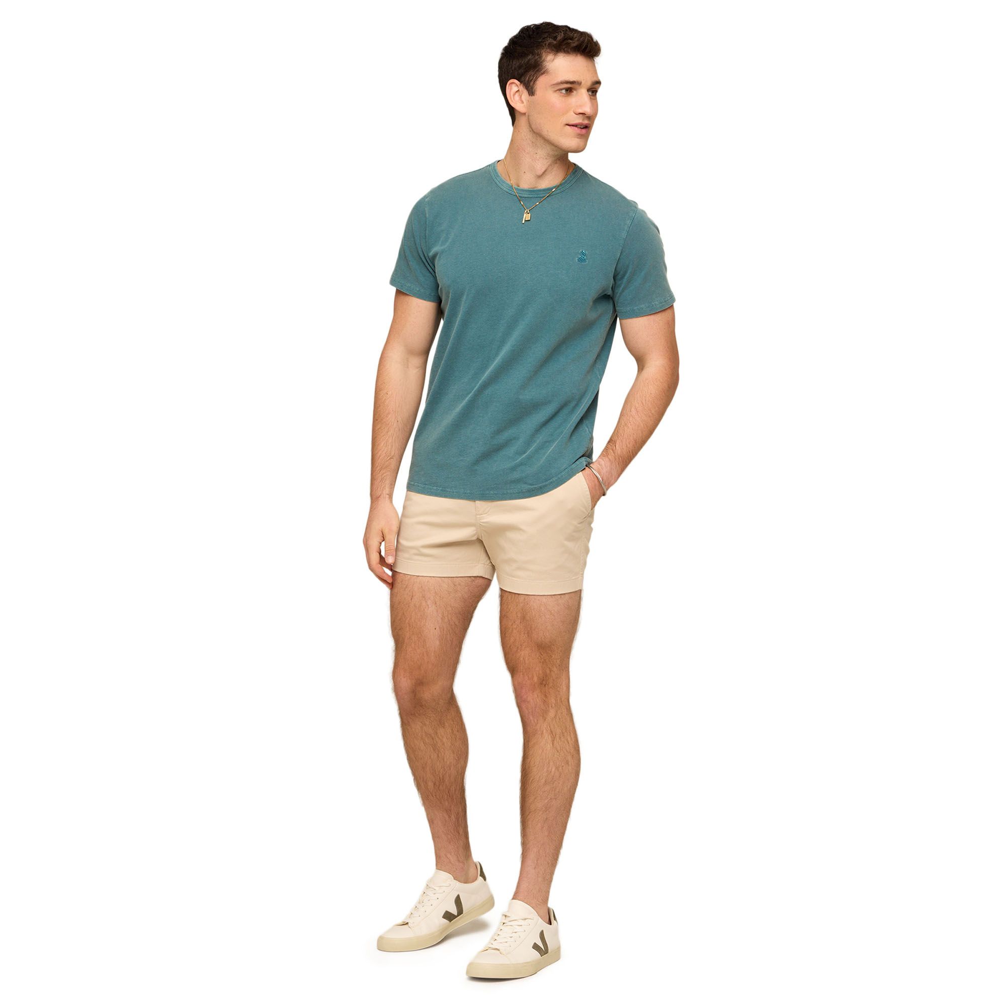 Chubbies Men's 24/7 365 T-Shirt product image