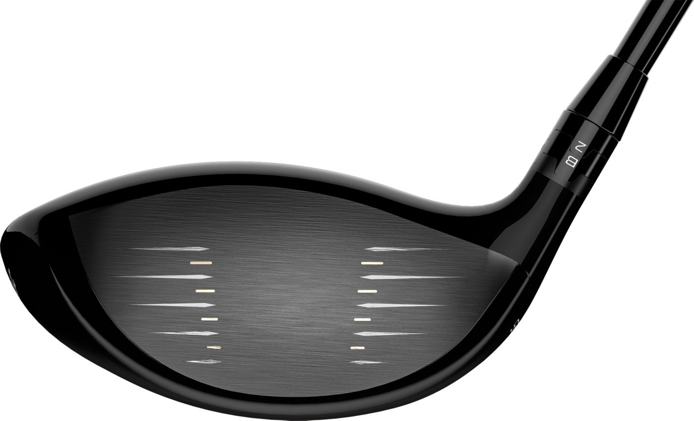 Titleist TS1 Driver 2