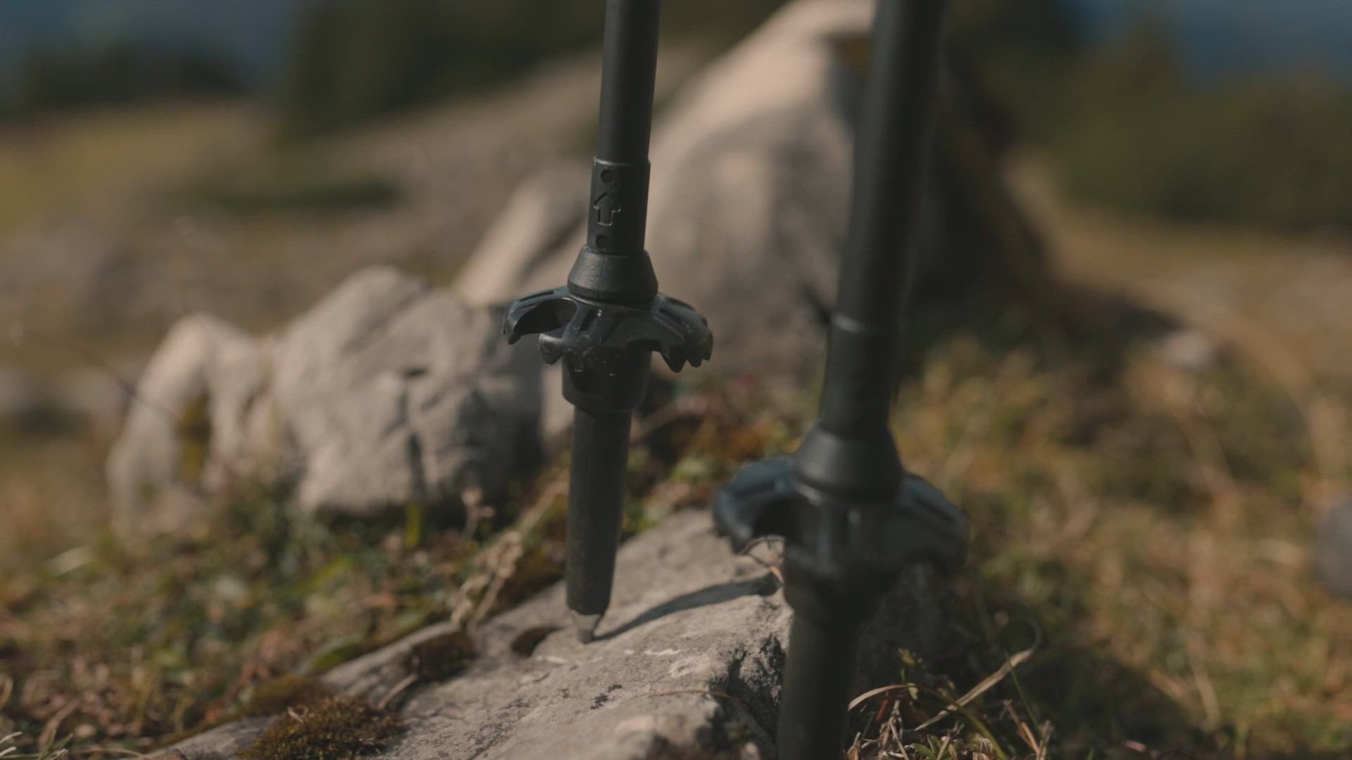 LEKI Black Series  Carbon Trekking Poles product