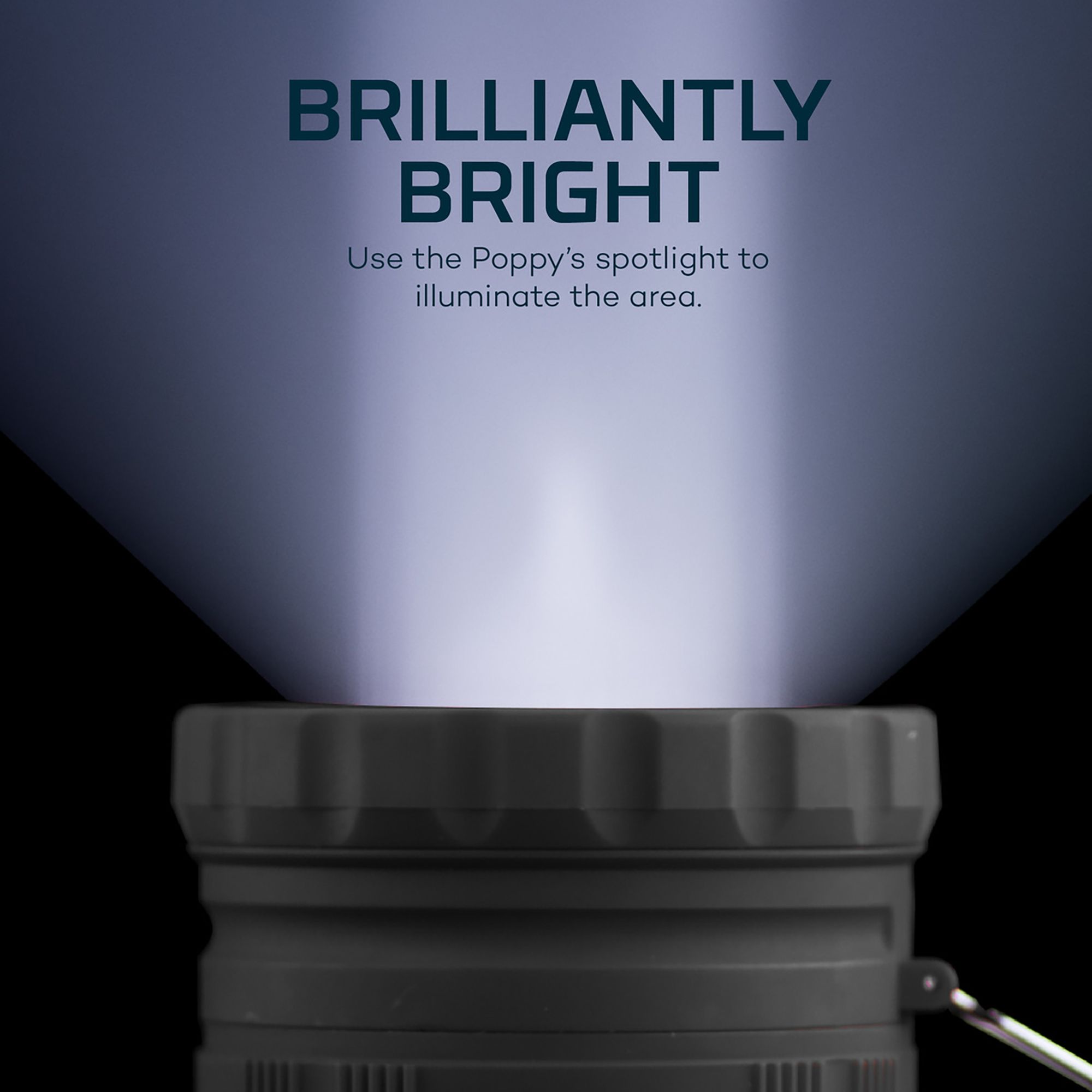 NEBO Poppy 2-in-1 Lantern Spotlight product image