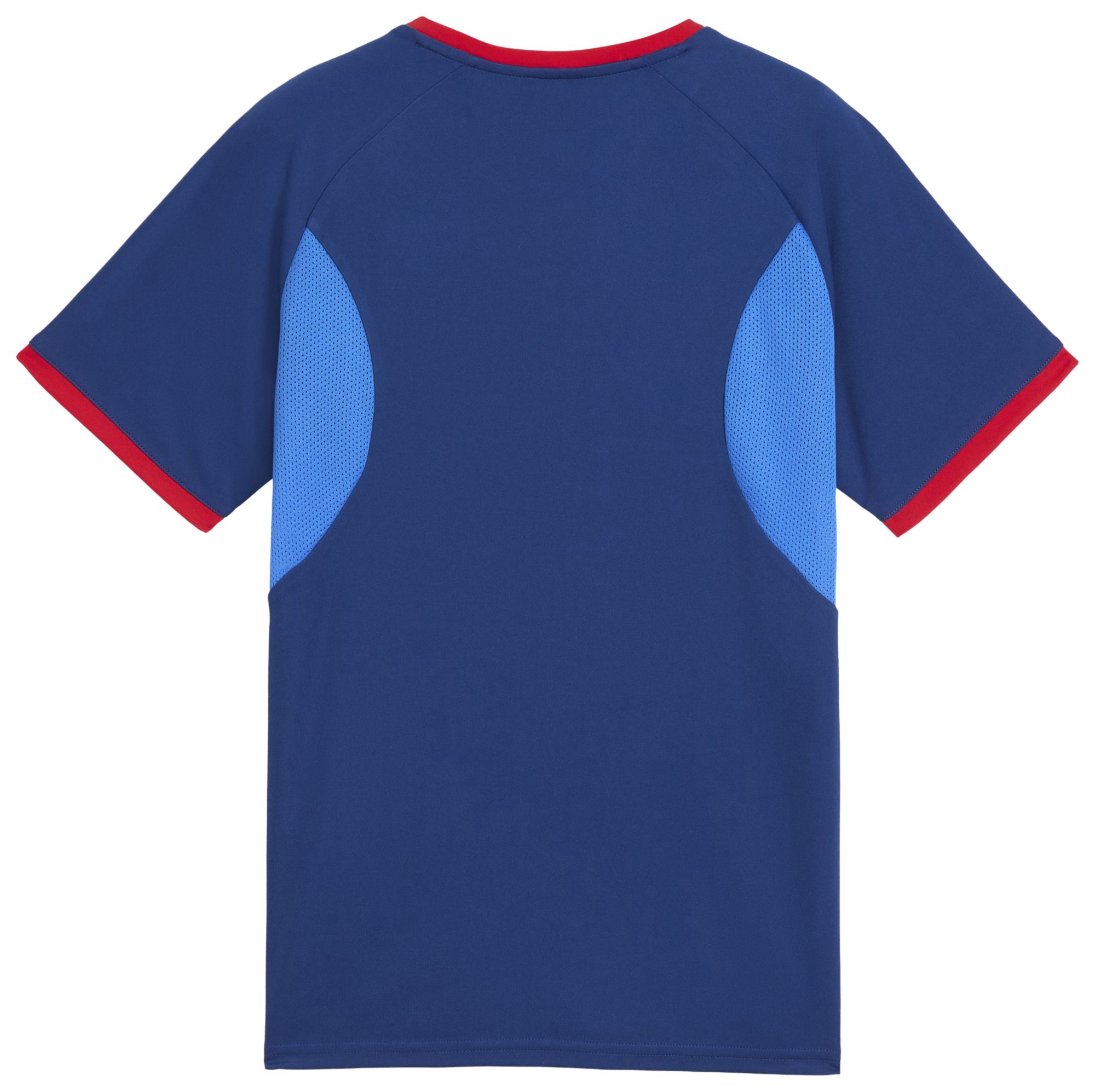 PUMA Youth Neymar Jr. Blue Graphic Jersey product image
