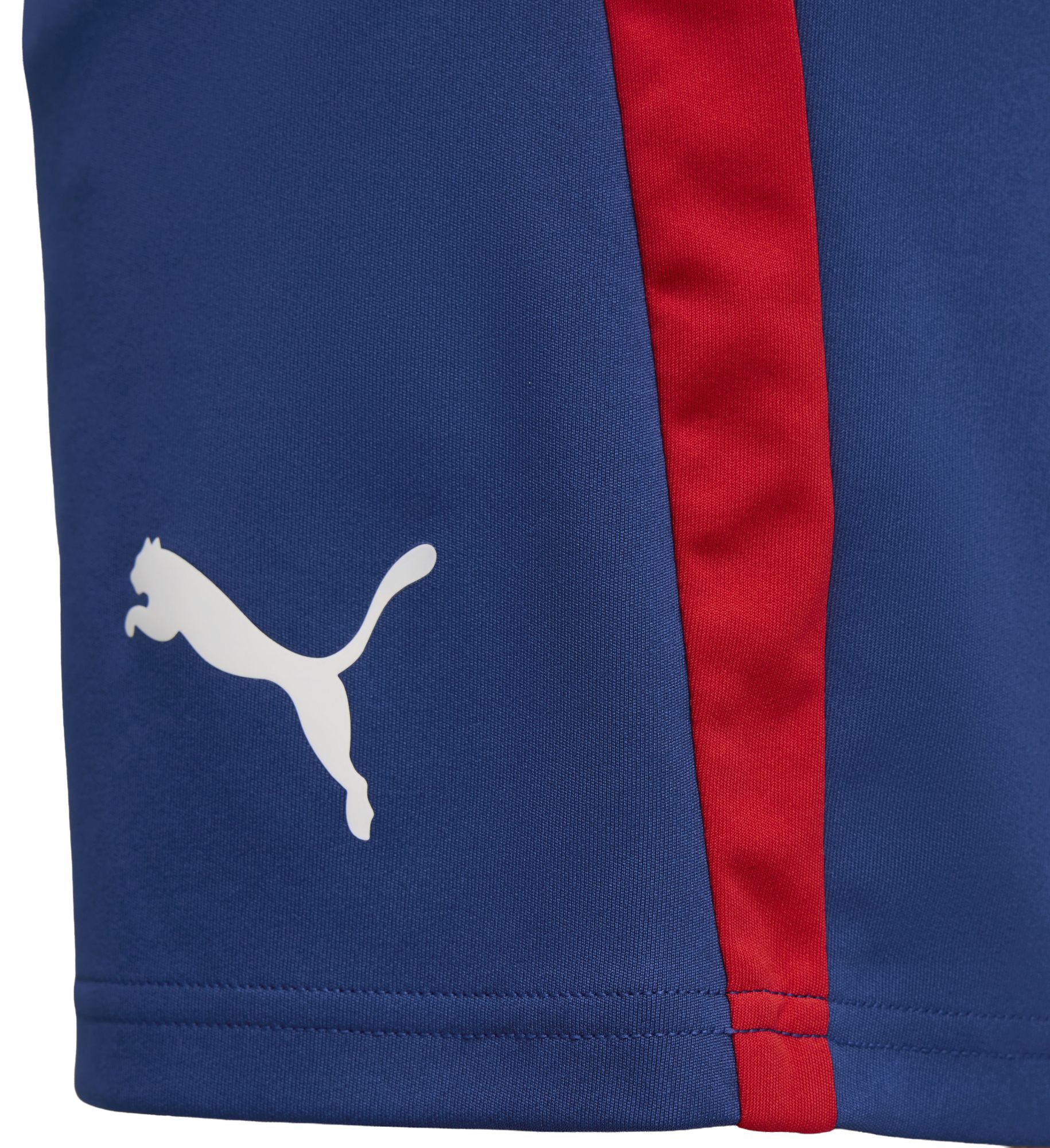 PUMA Adult Neymar Jr. Blue Graphic Shorts product image
