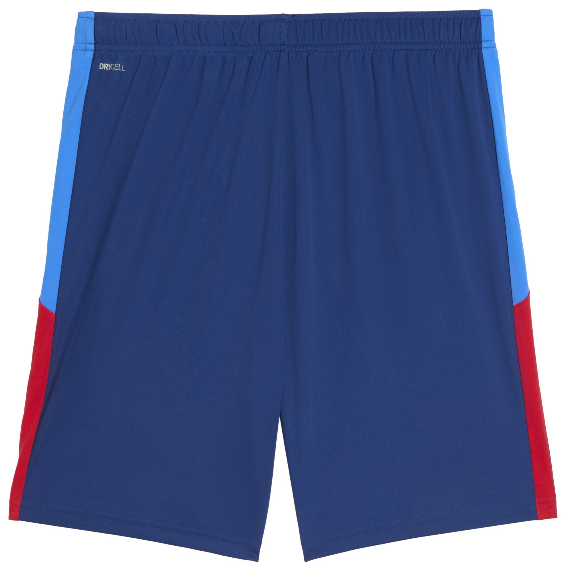 PUMA Adult Neymar Jr. Blue Graphic Shorts product image