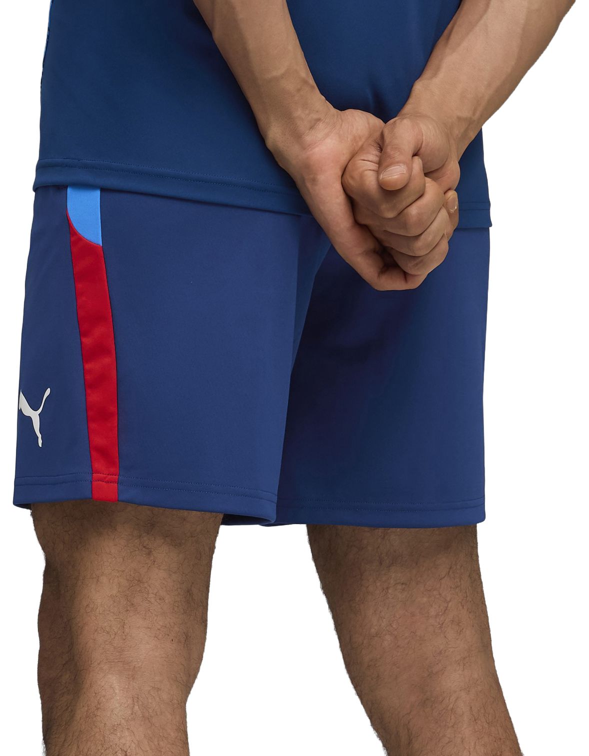 PUMA Adult Neymar Jr. Blue Graphic Shorts product image