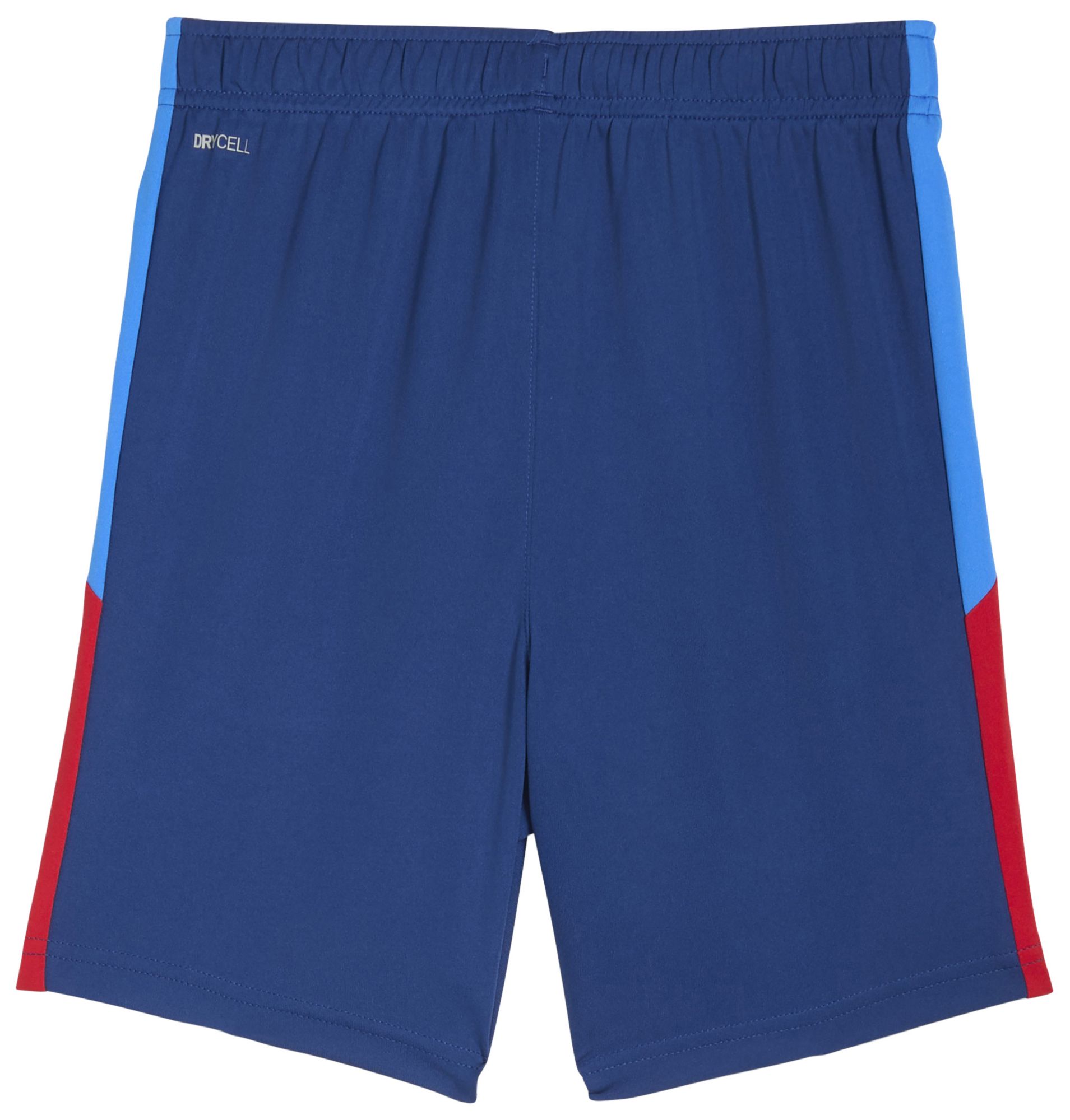 PUMA Youth Neymar Jr. Blue Graphic Shorts product image