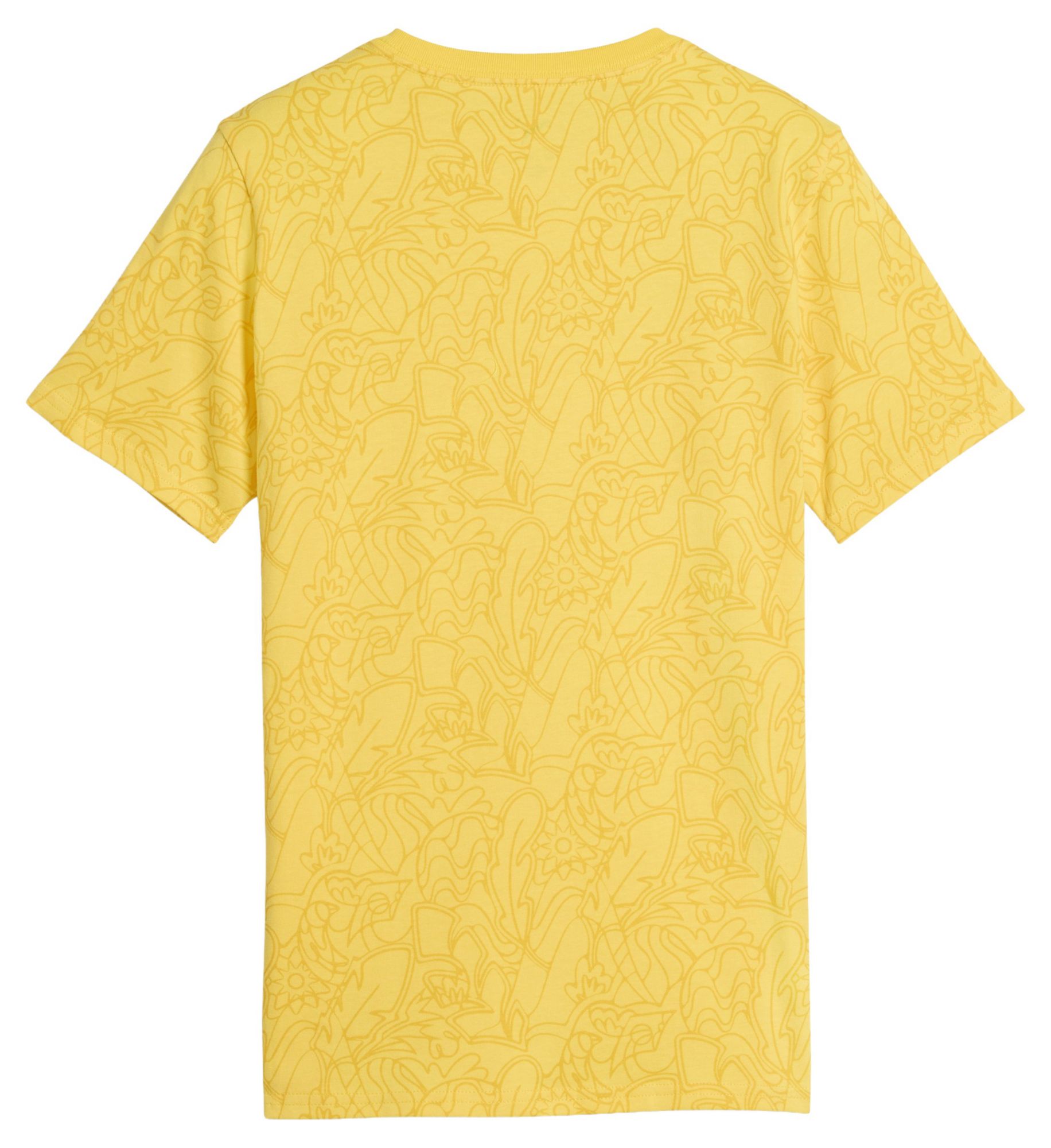 PUMA Youth Brazil Neymar #10 Passion T-Shirt product image