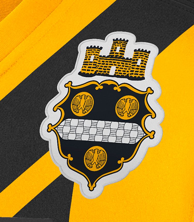 Nike Men's Pittsburgh Steelers Aaron Rodgers #8 Alternate 1933 Throwback Gold Game Jersey product image