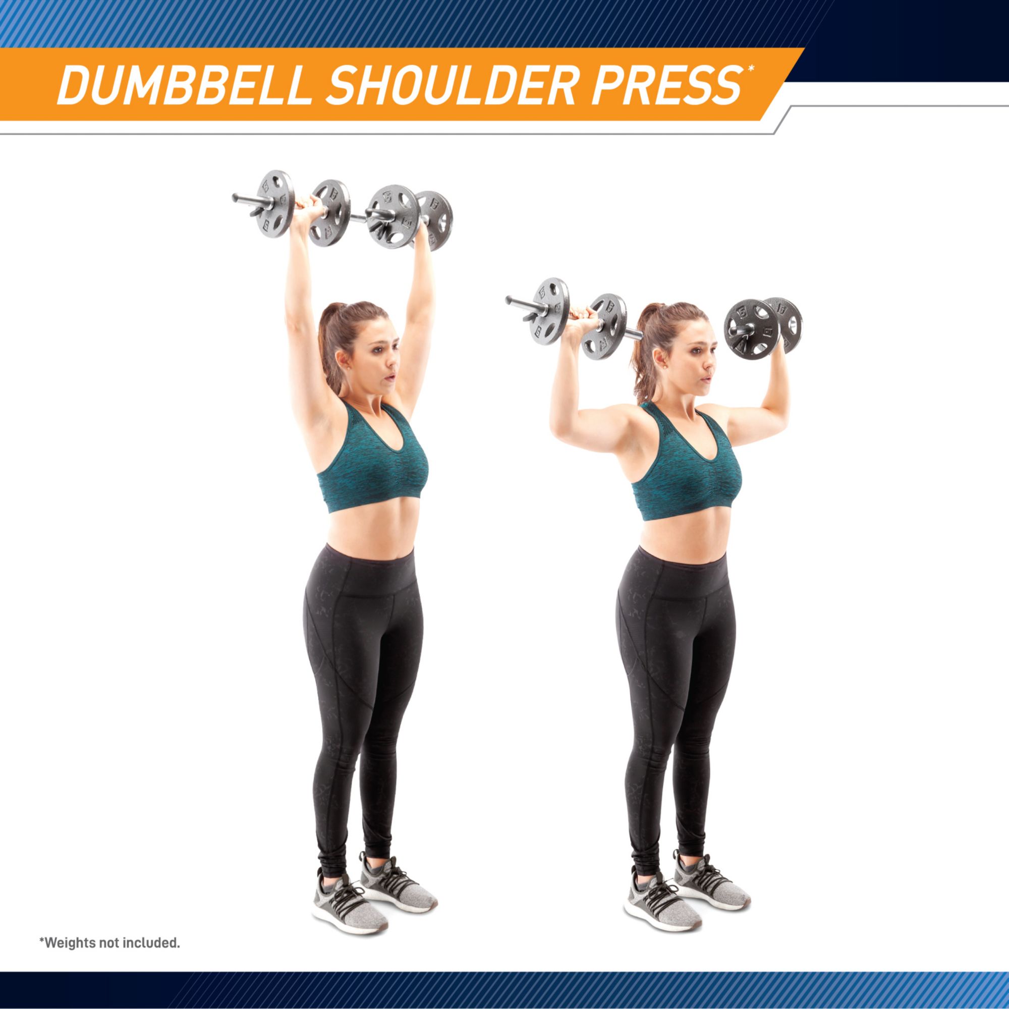 Apex Standard Curl Bar and Dumbbell Handle Combo product image