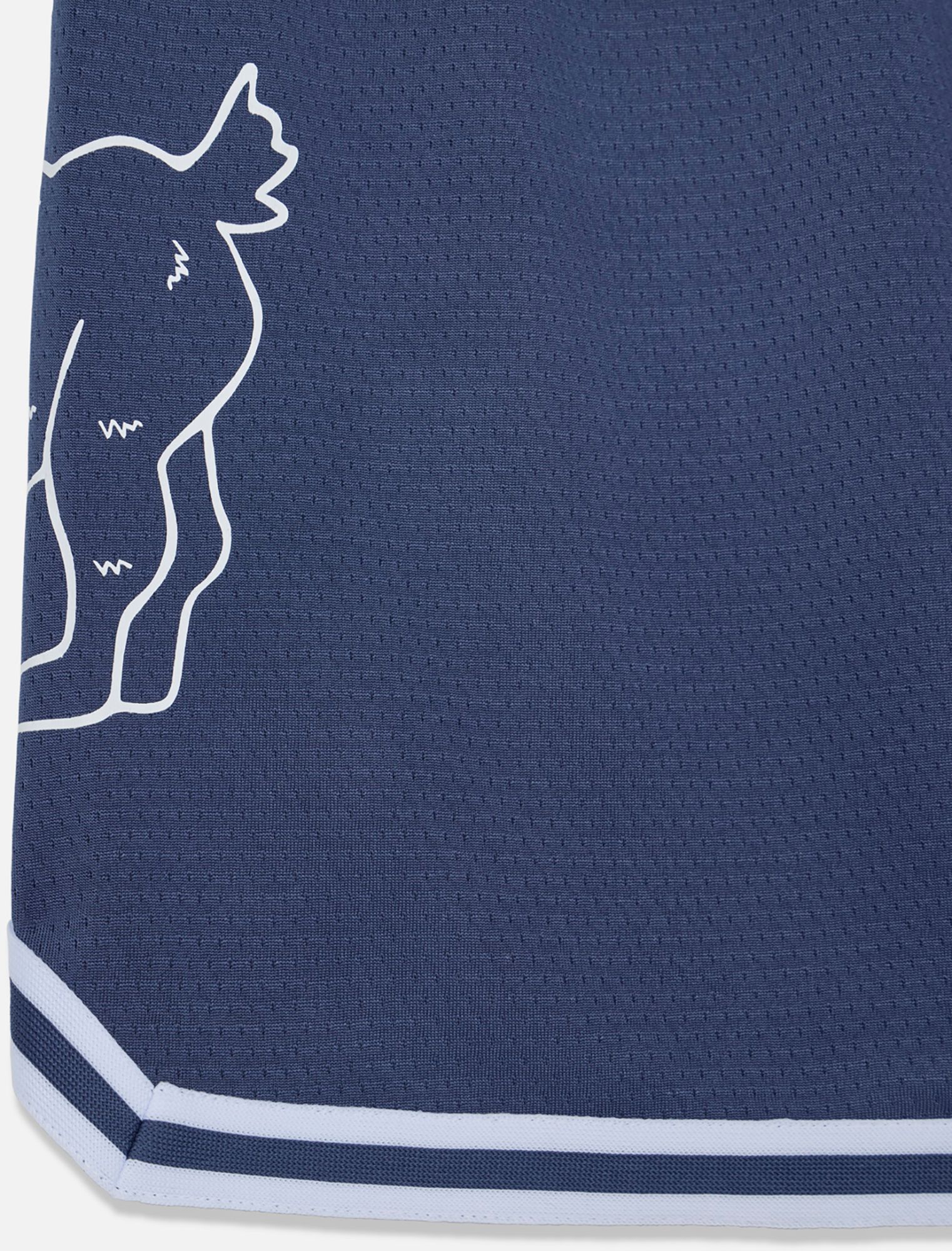 GOAT USA Youth Big Goat OG Mesh Shorts product image