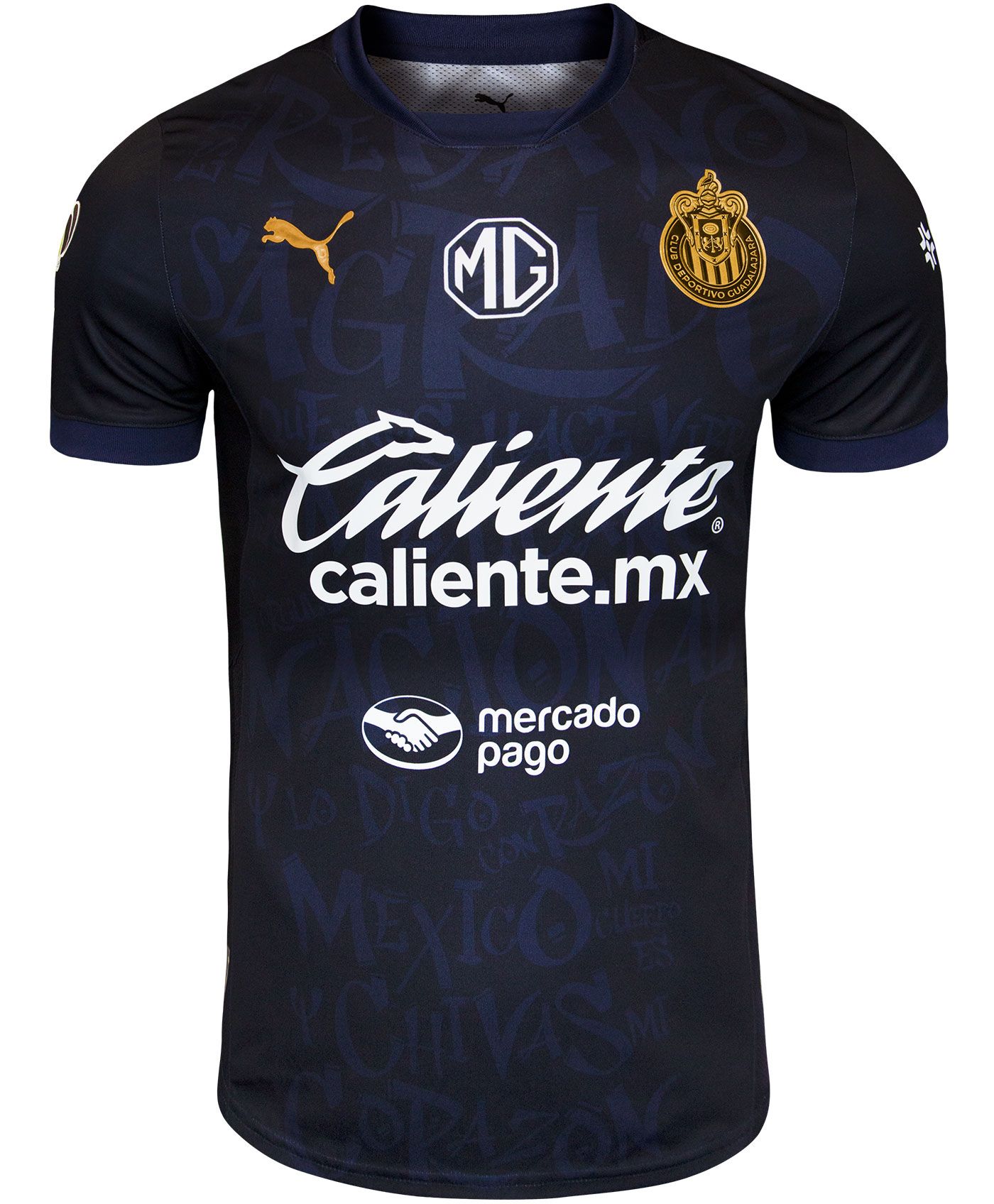 PUMA Adult Chivas Guadalajara 2024 25 Third Authentic Jersey Dick s Sporting Goods
