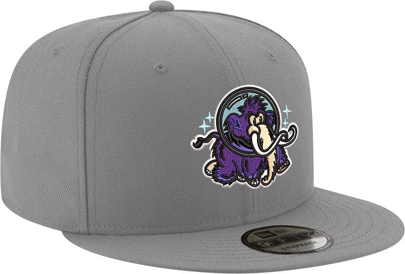 New Era Adult Erie SeaWolves Grey 9Fifty Moon Mammoths Adjustable Hat product image