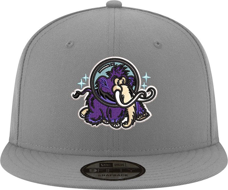 New Era Adult Erie SeaWolves Grey 9Fifty Moon Mammoths Adjustable Hat product image