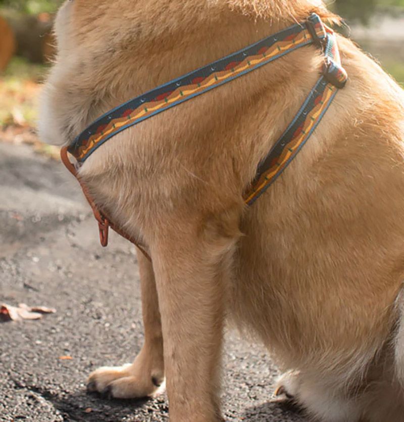 United by Blue Woven Dog Harness product image