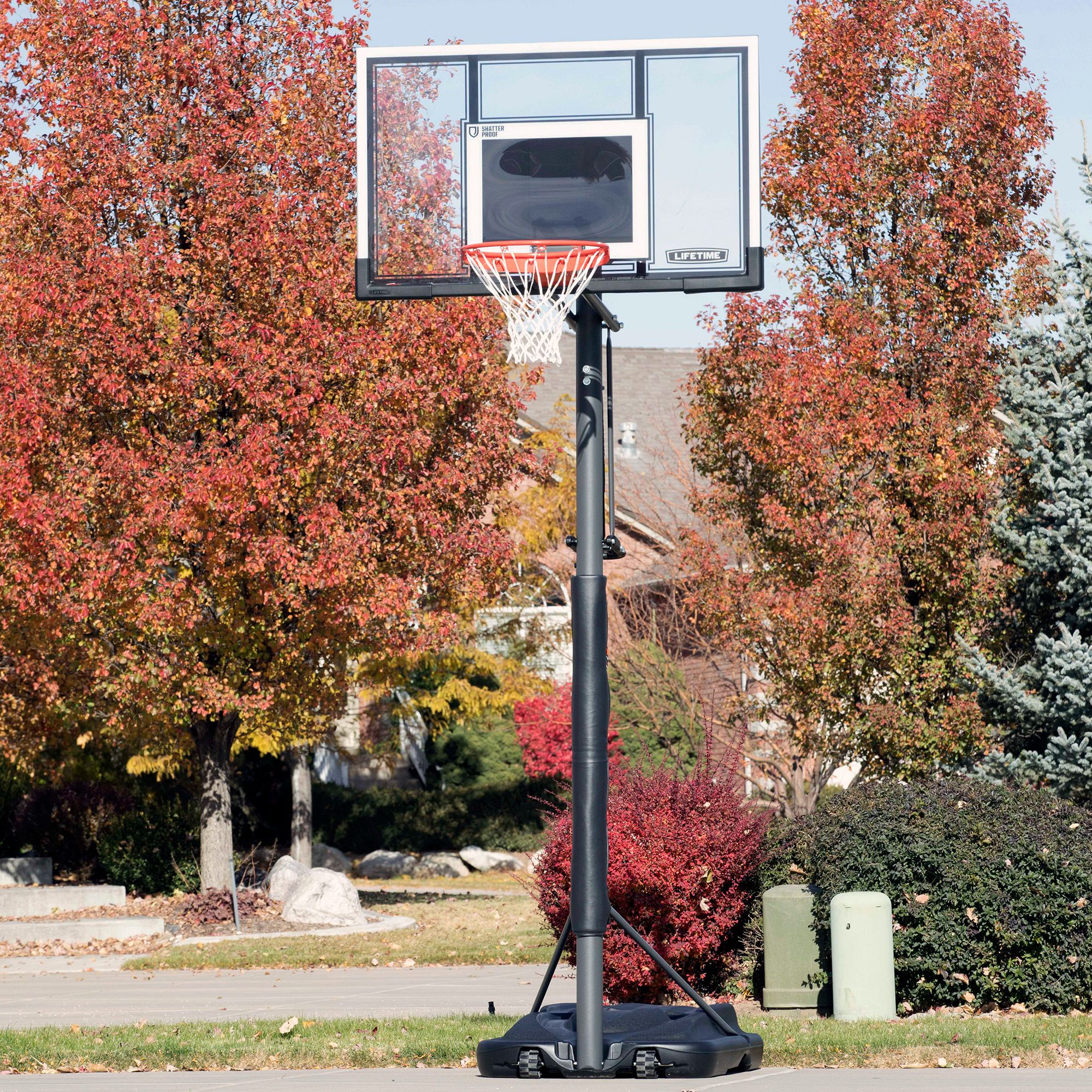 Lifetime 54” Portable Basketball Hoop product image