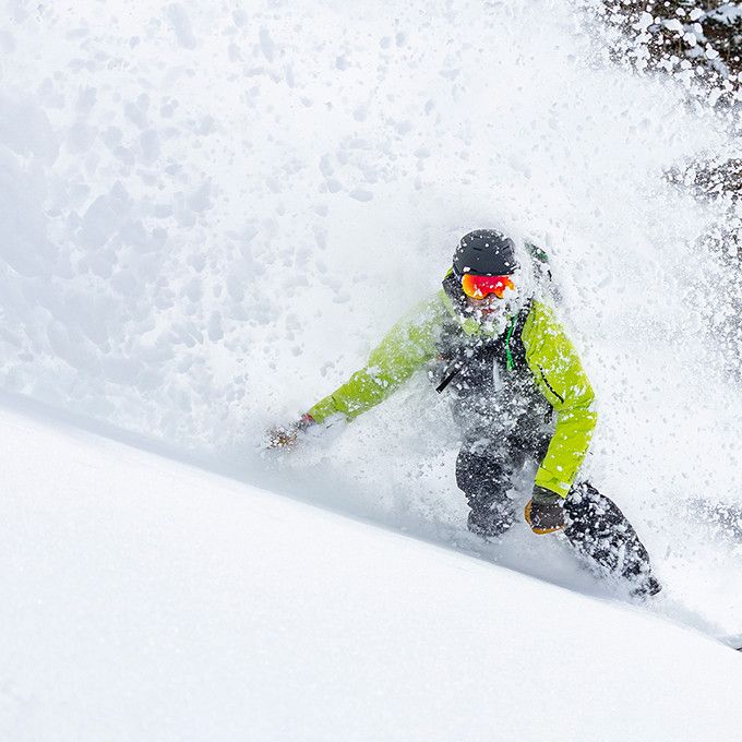 Giro Unisex Article II Snow Goggles product image