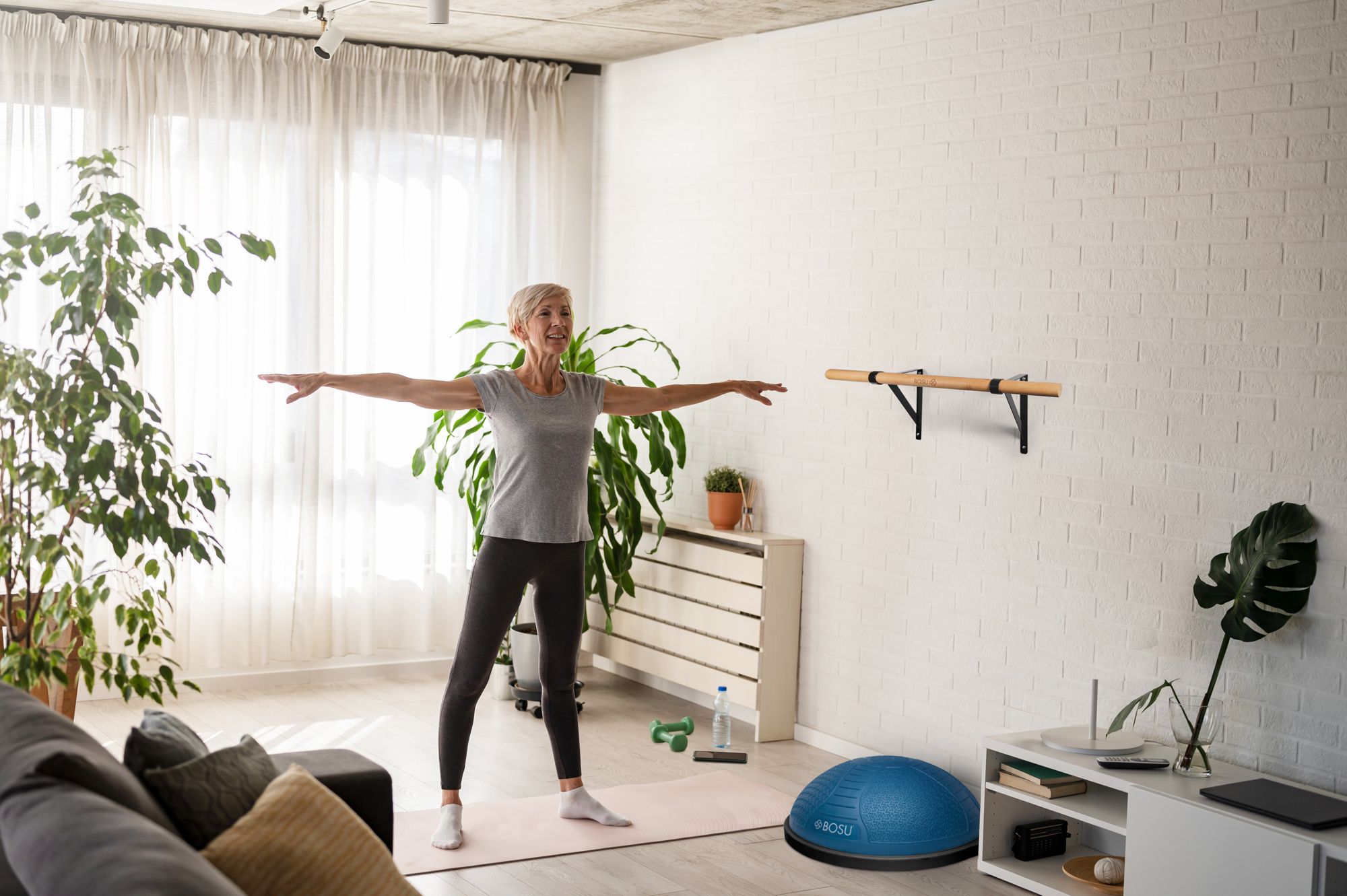 BOSU Wall Mount Balance Bar product image