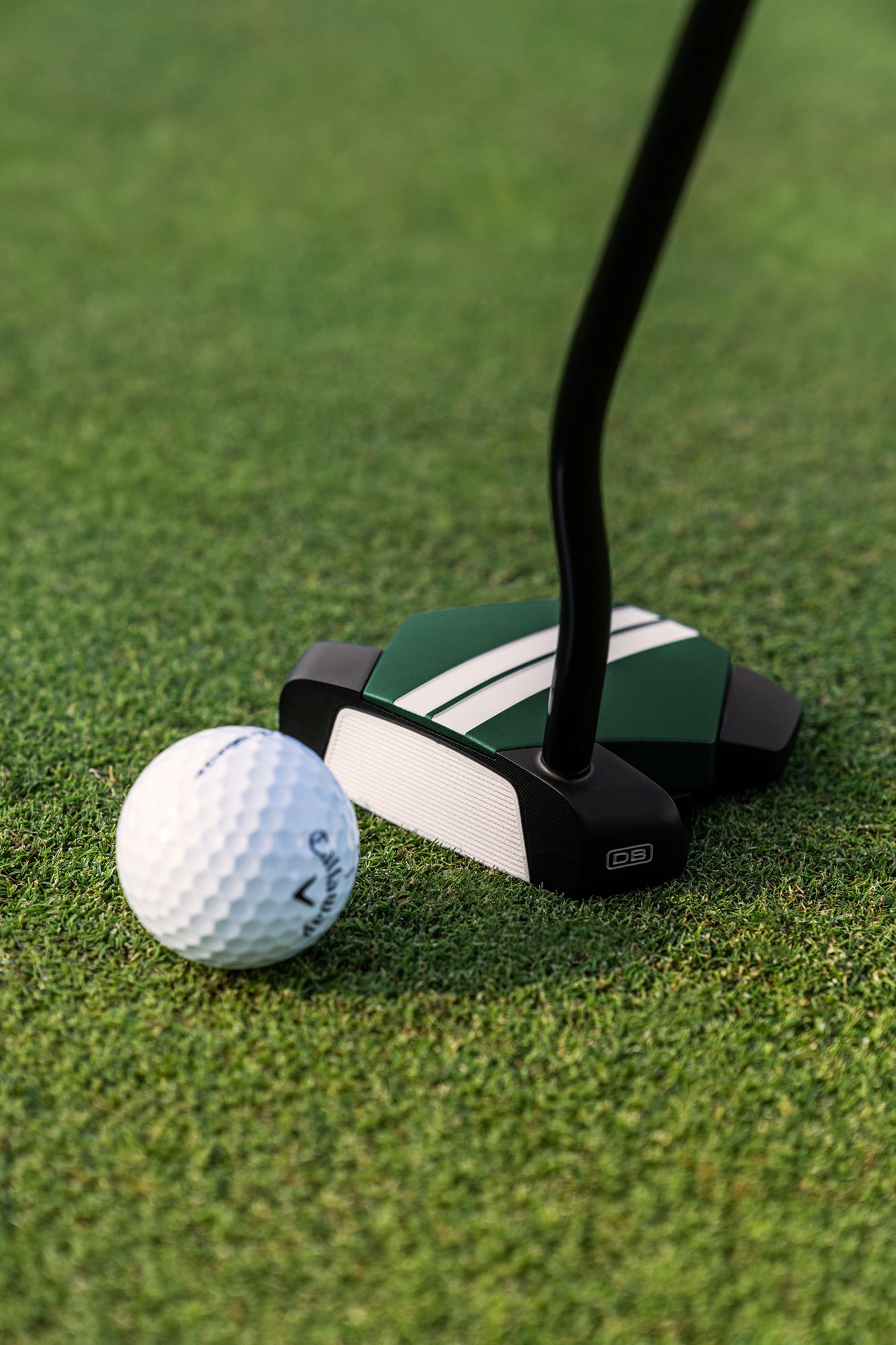 Odyssey TRTL DB Putter product image
