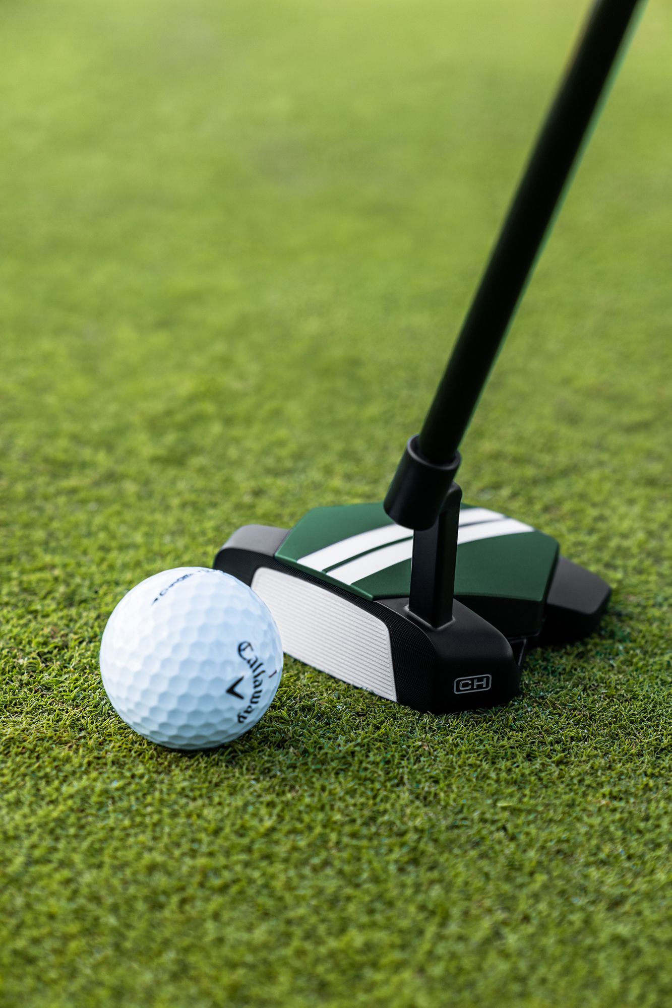 Odyssey TRTL CH Putter product image