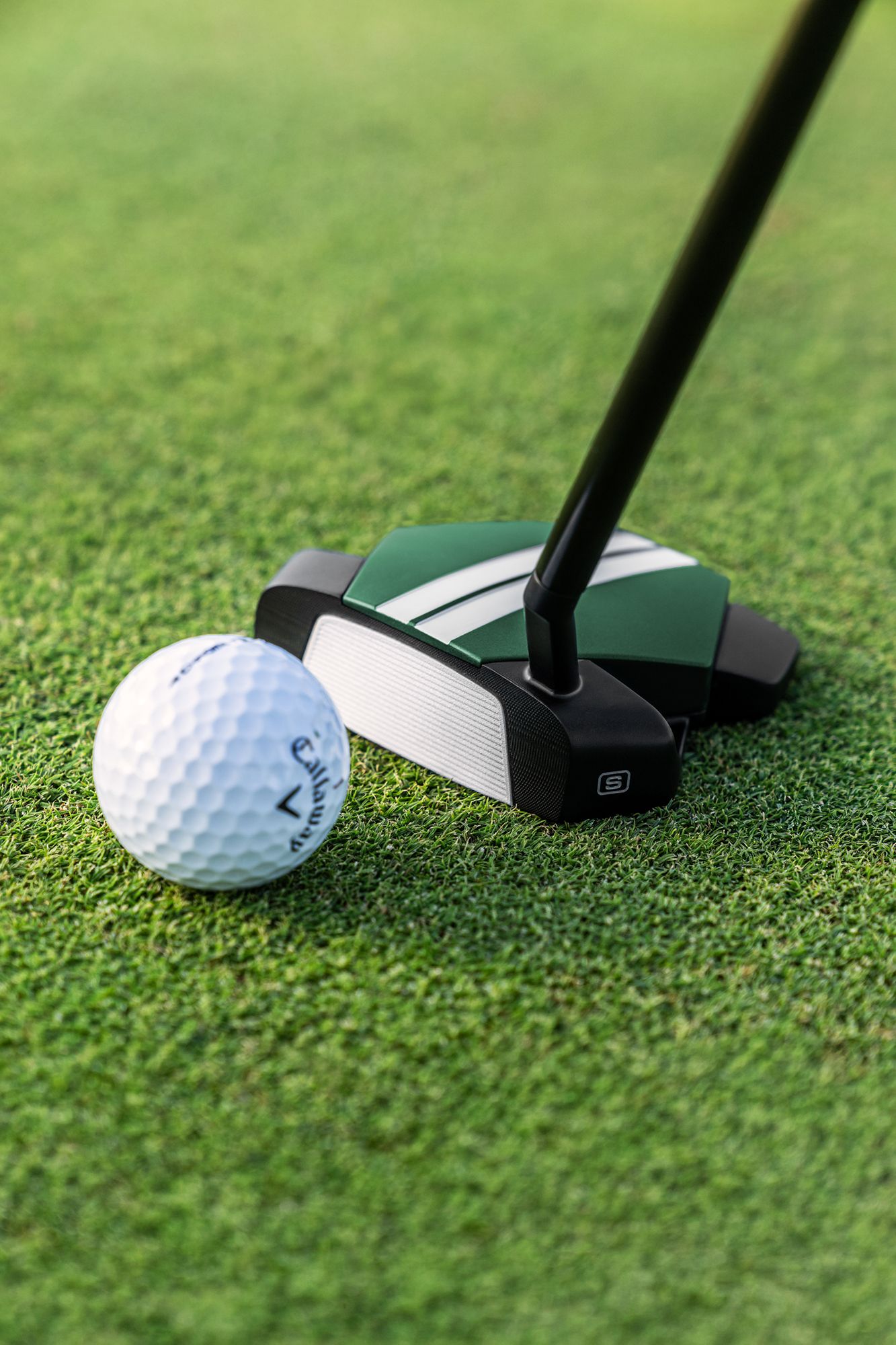 Odyssey TRTL S Putter product image