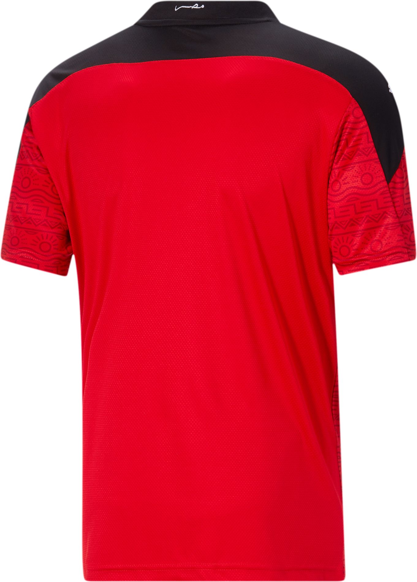PUMA Men's Egypt '20 Home Replica Jersey product image