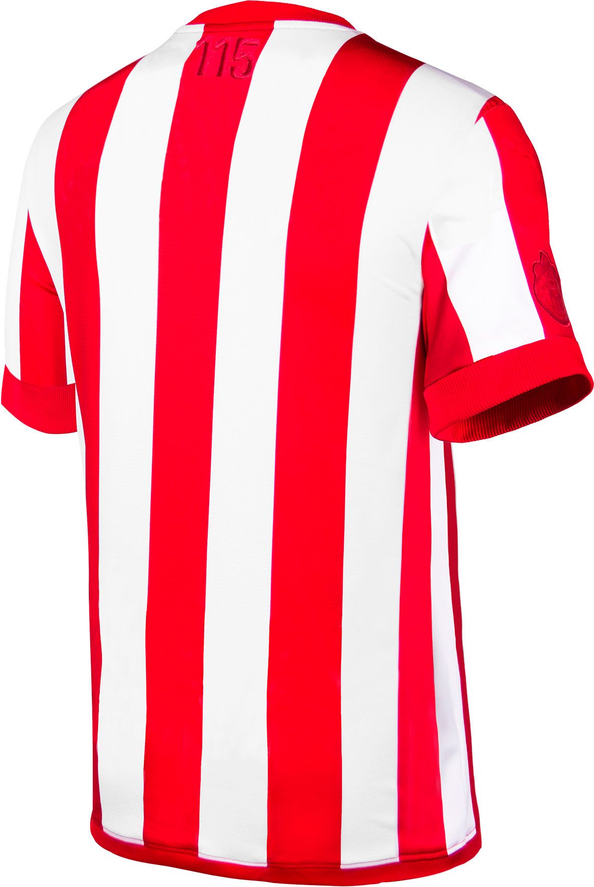 PUMA Men's Chivas 115th Anniversary Home Replica Jersey product image