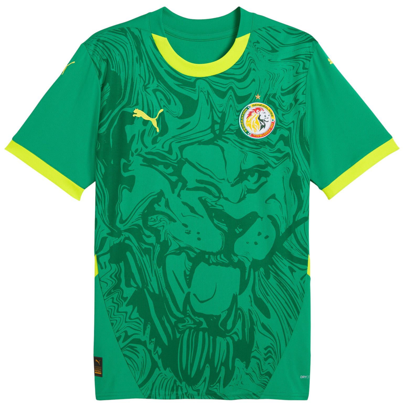 PUMA Men's Senegal Green Away Replica Jersey product image