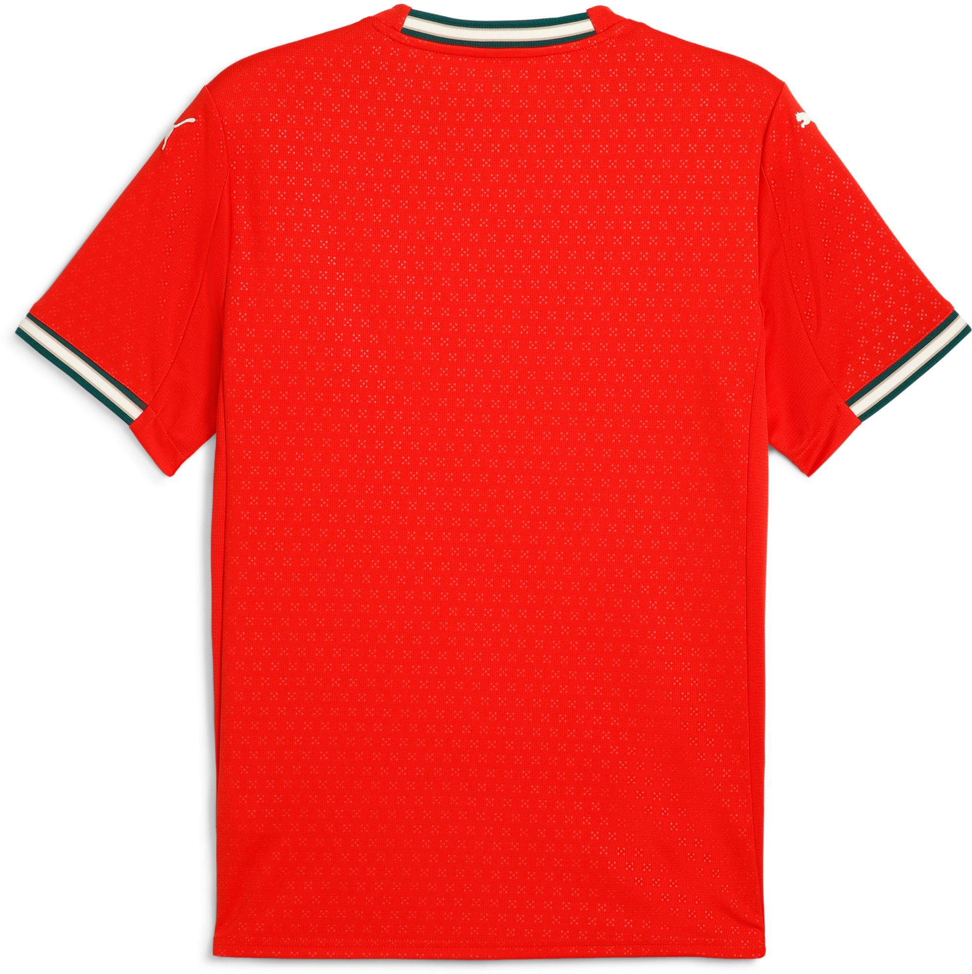 PUMA Adult Portugal Red Home Replica Jersey product image