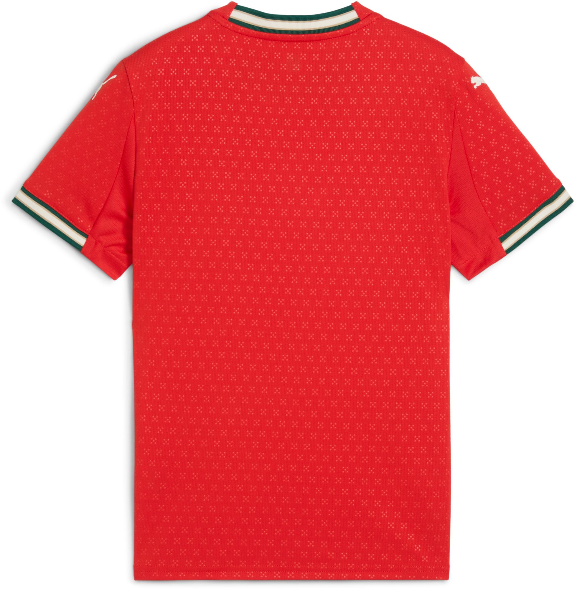 PUMA Youth Portugal 2025 Red Home Replica Jersey product image