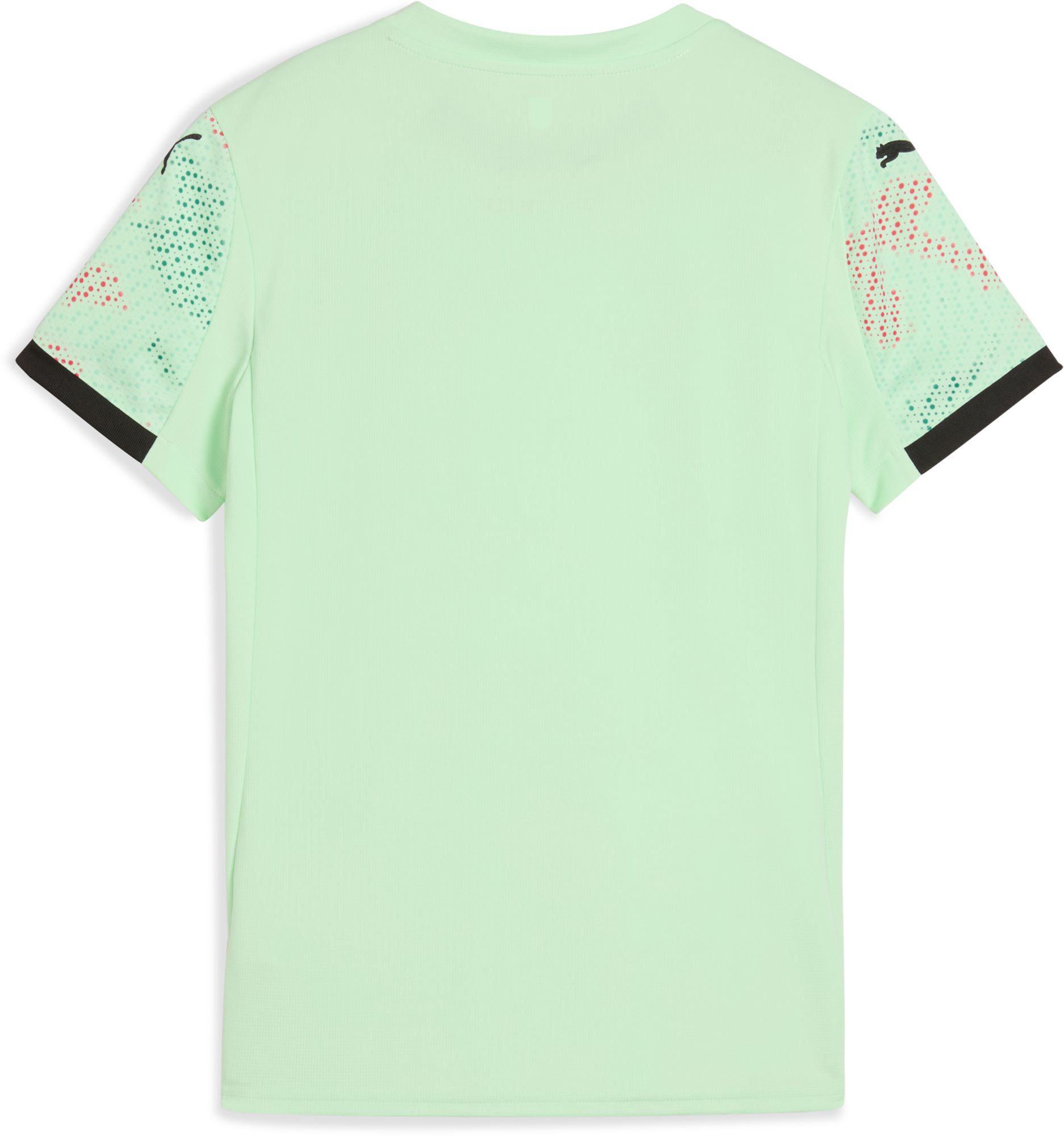 PUMA Women's 2025 Portugal Women's National Team Green Away Replica Jersey product image