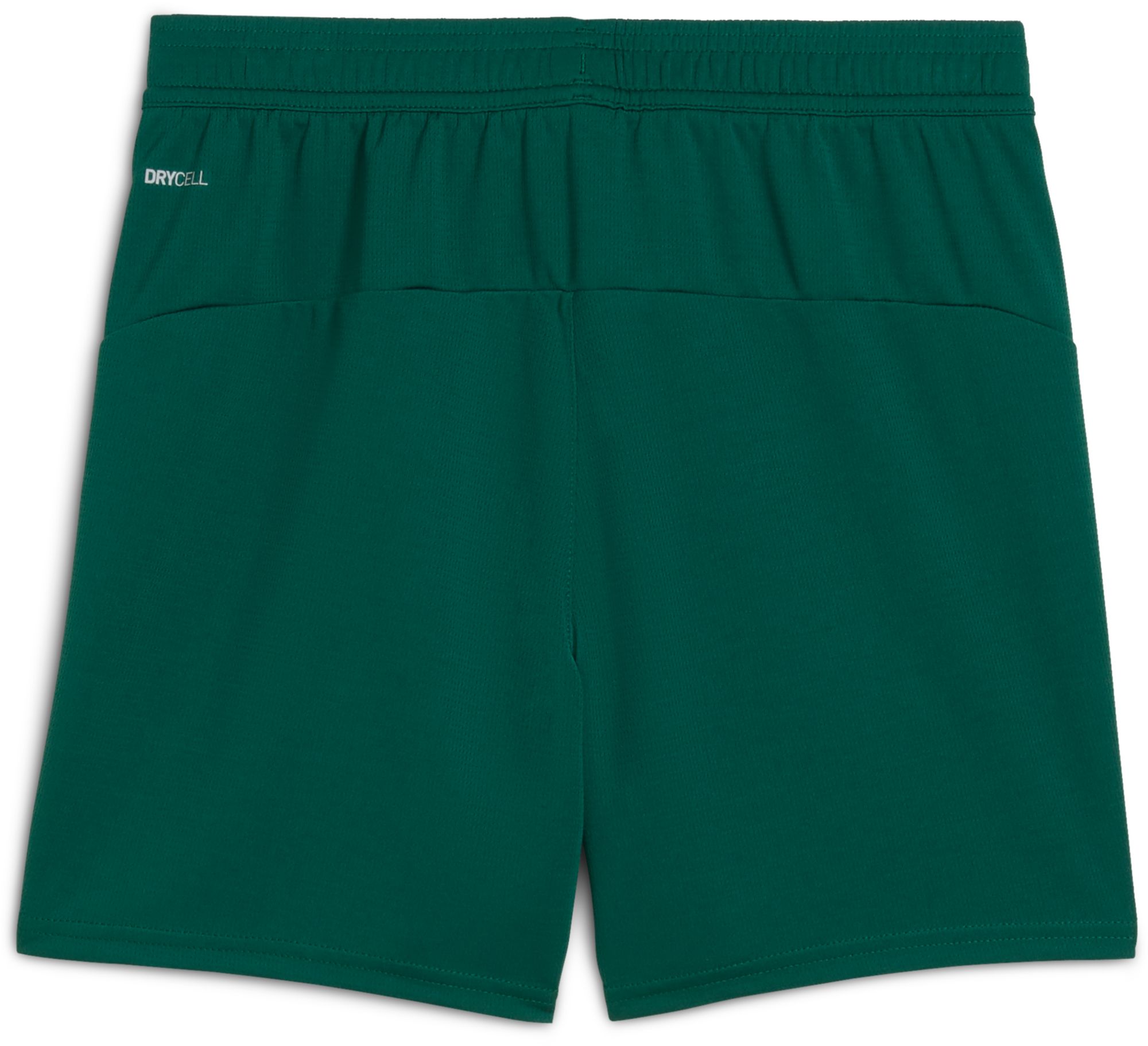 PUMA Youth Portugal 2025 Green Replica Shorts product image