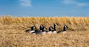 Ducks Unlimited Full Size Half Shell Canada Decoy product image