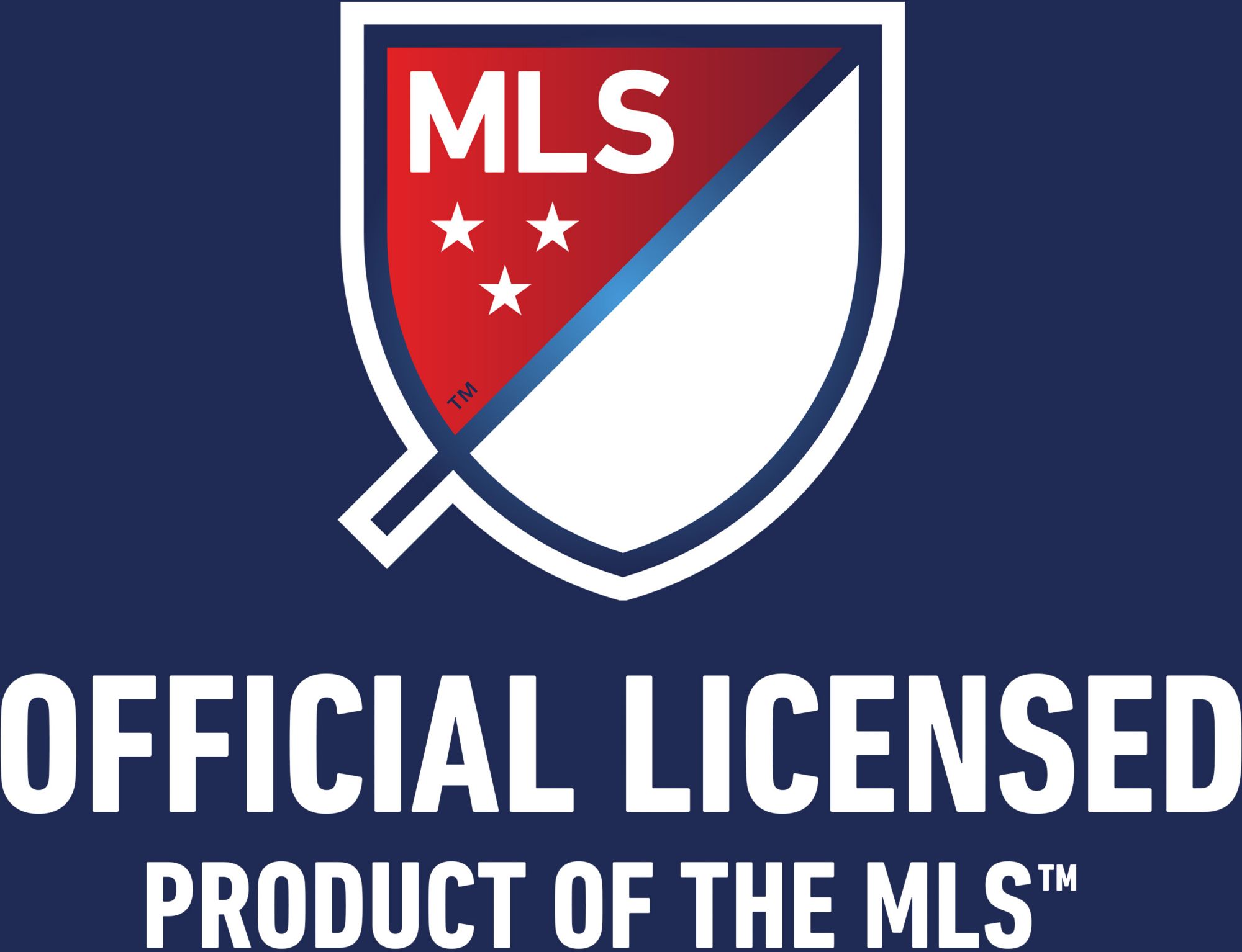 Franklin D.C. United Indoor Mini Soccer Goal Set product image